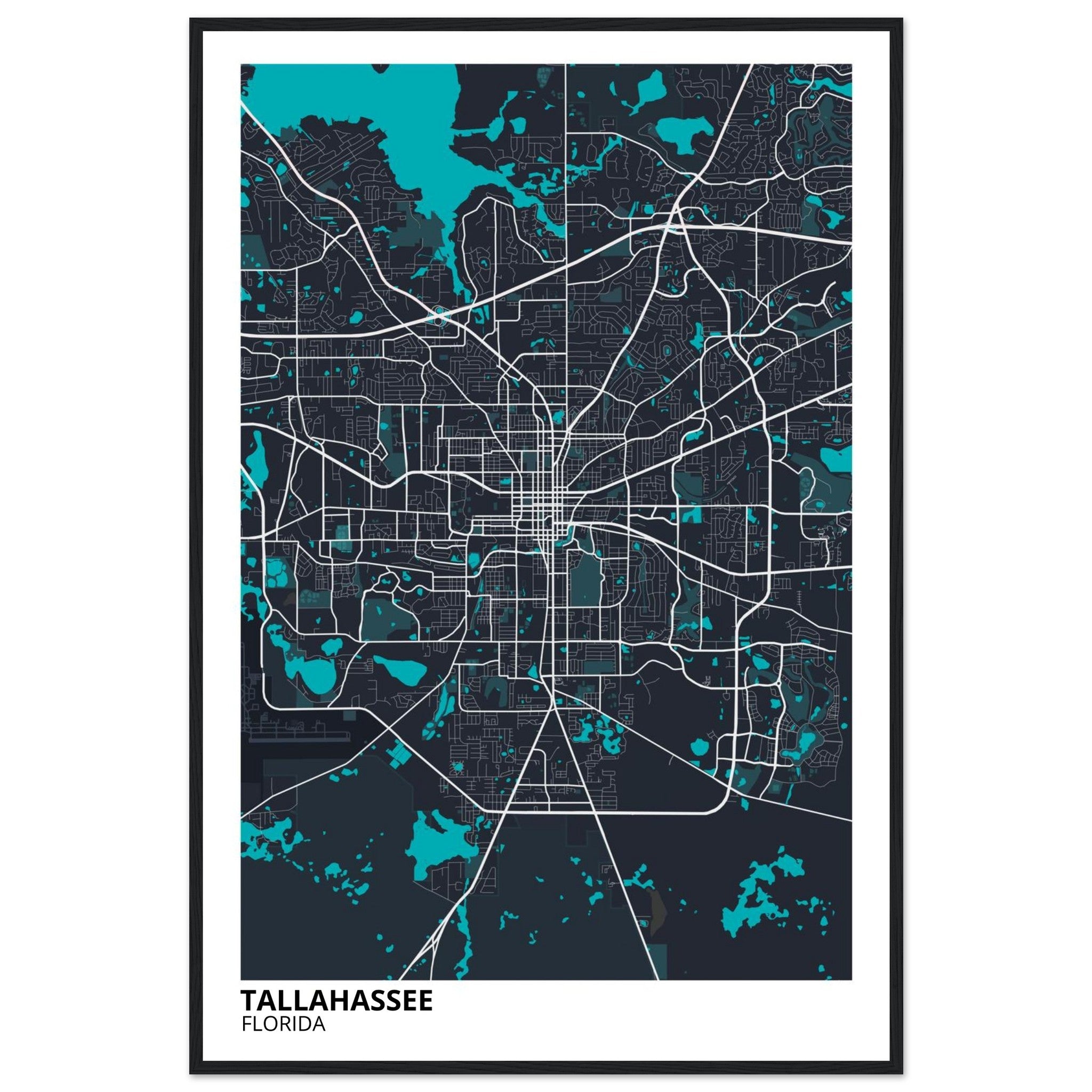 tallahassee map poster print