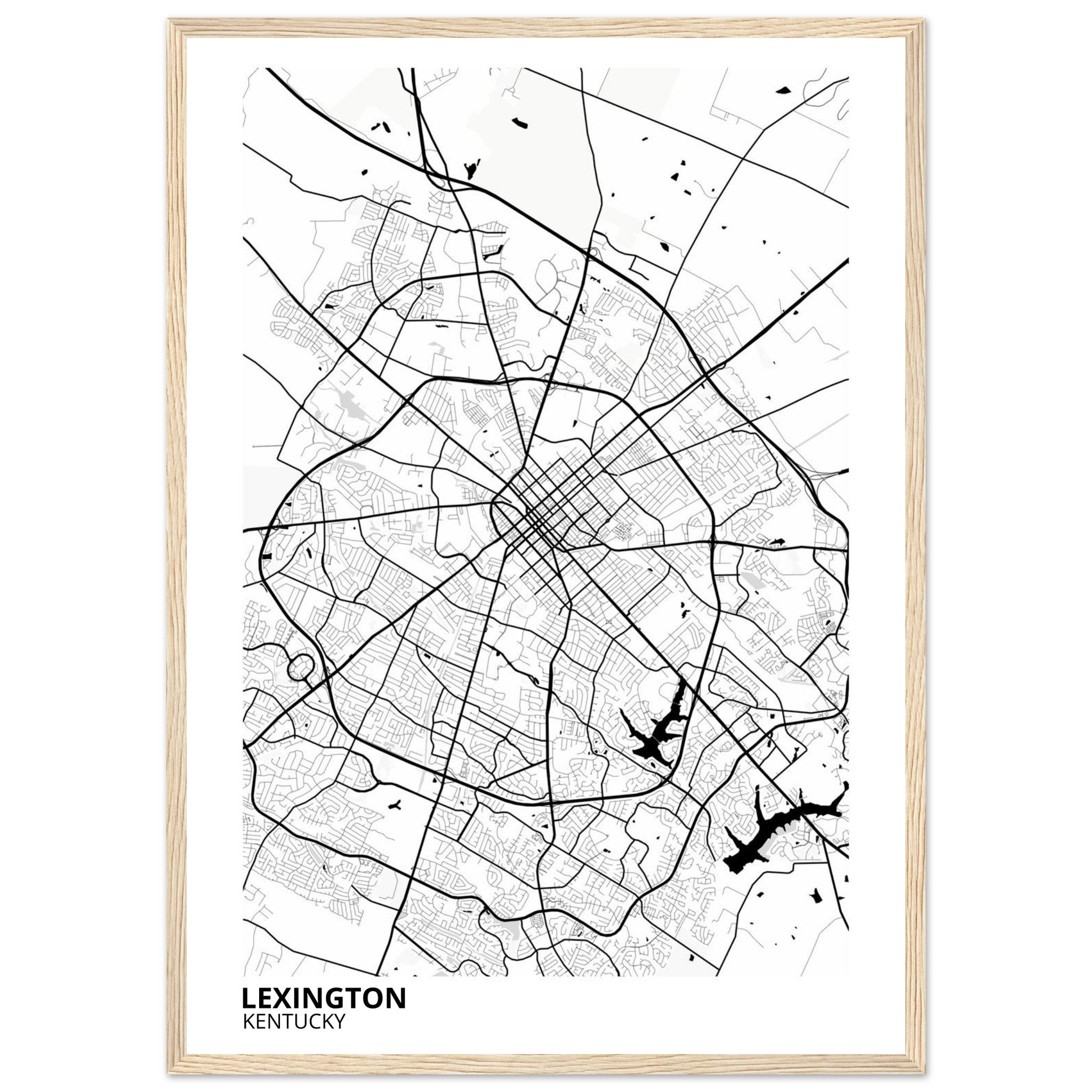 Lexington Kentucky City Map Poster | Custom Map Art Print - Ink And Atlas
