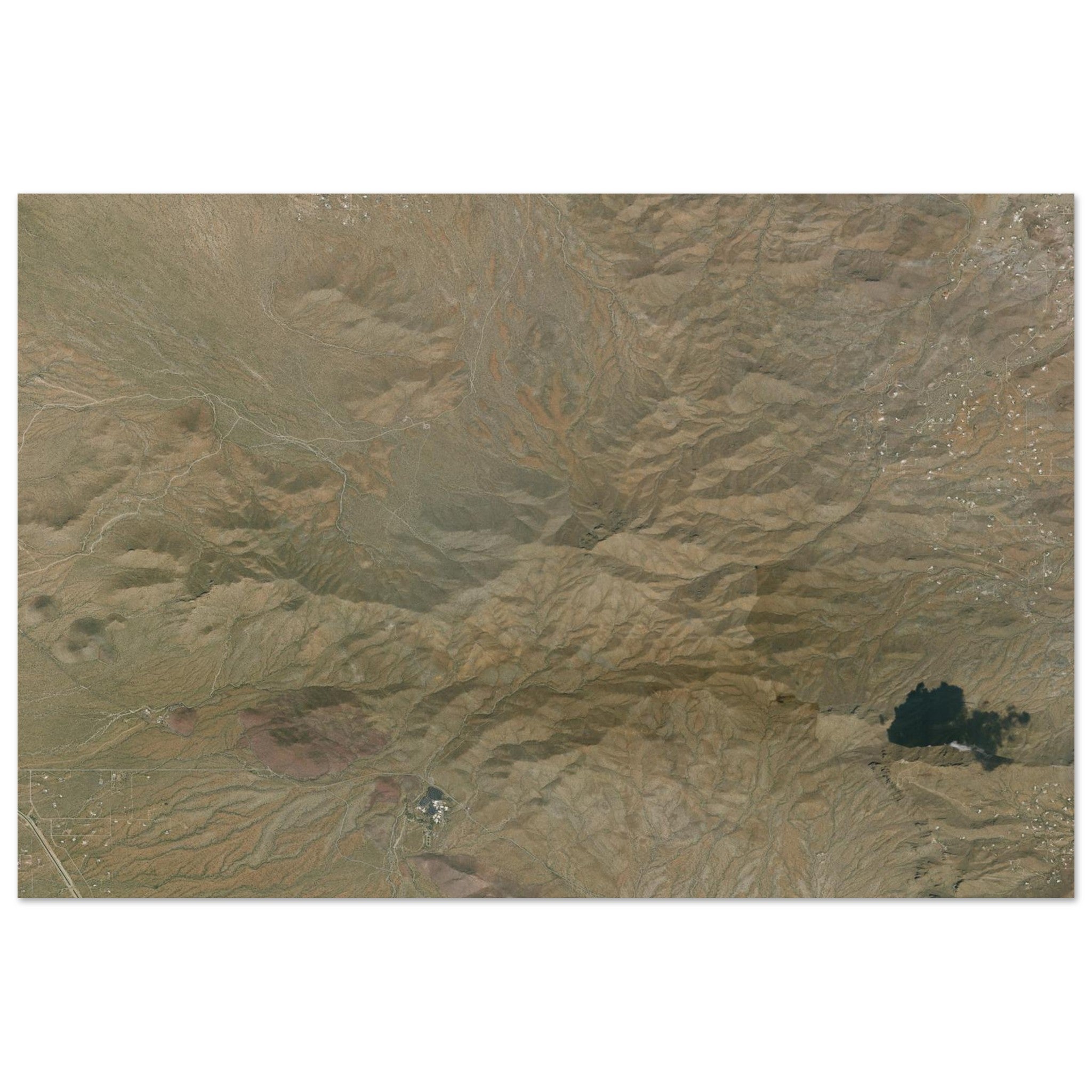 Saguaro National Park Natural Earth Print - Ink And Atlas