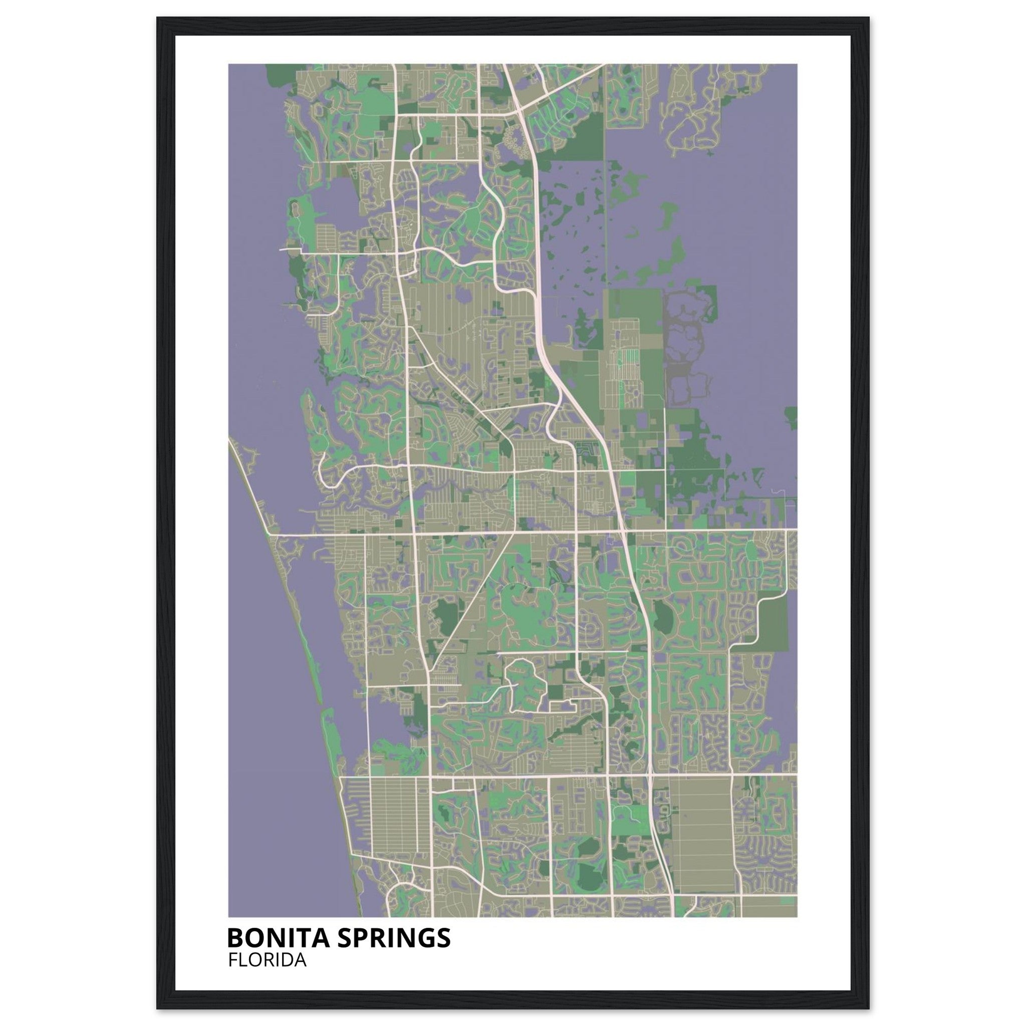 bonita springs map poster print