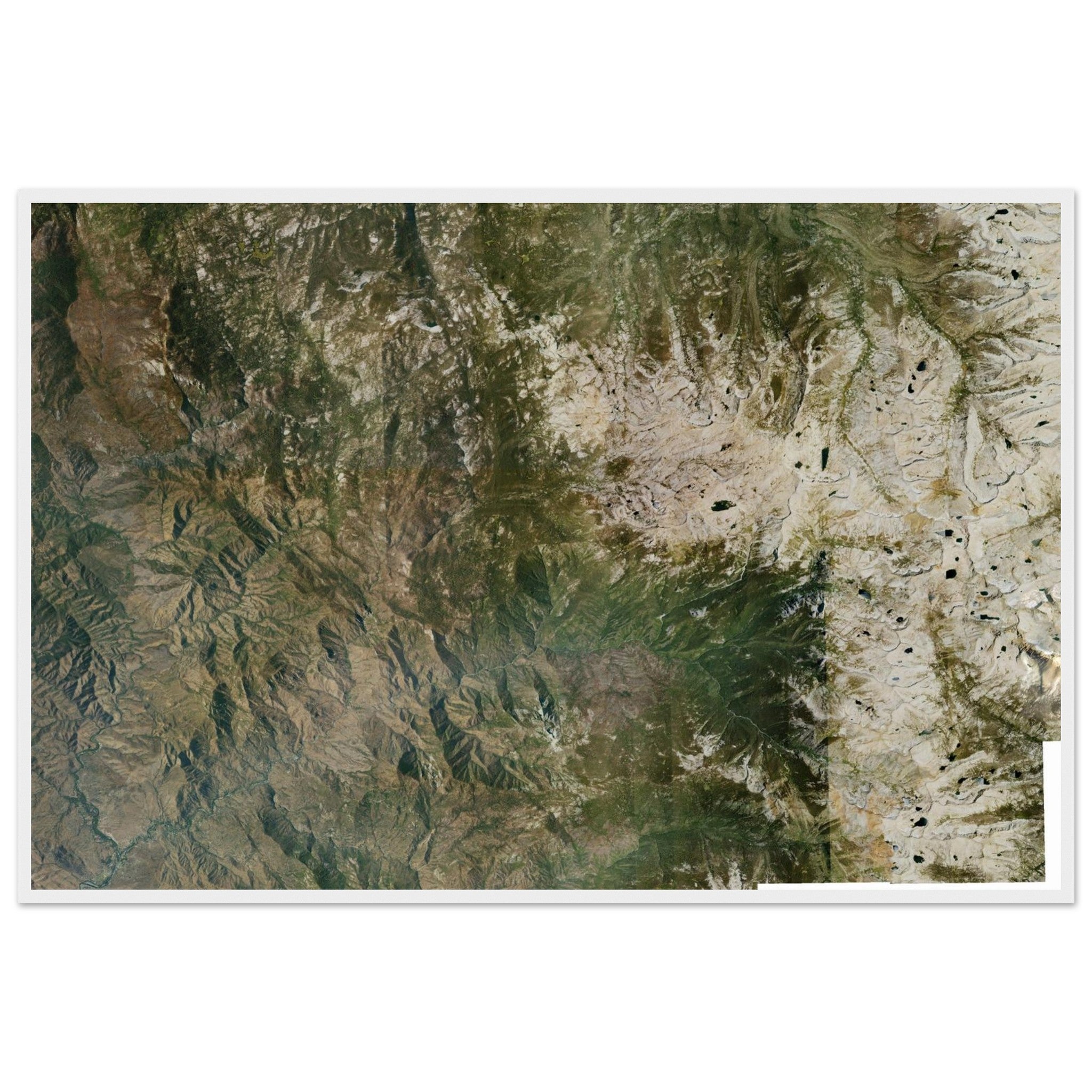 Sequoia National Park Natural Earth Print - Ink And Atlas