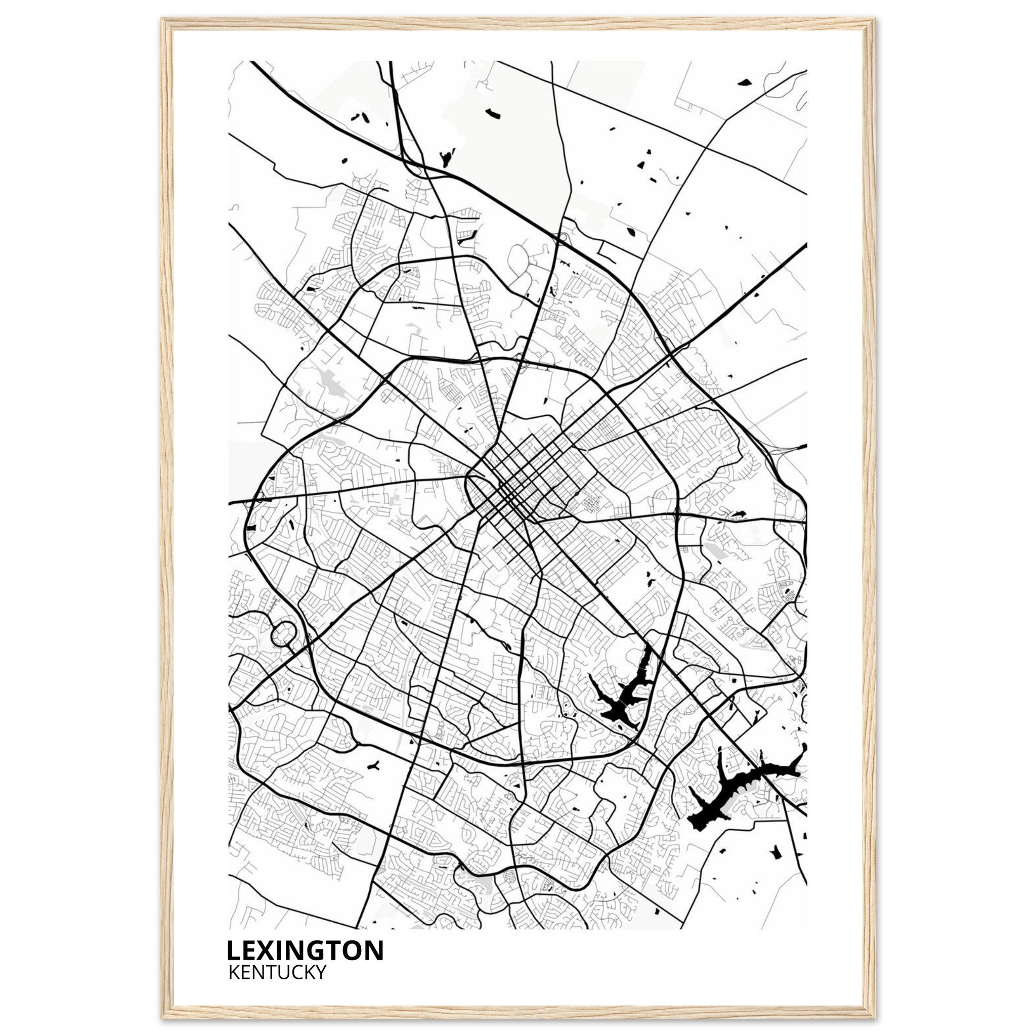 Lexington Kentucky City Map Poster | Custom Map Art Print - Ink And Atlas