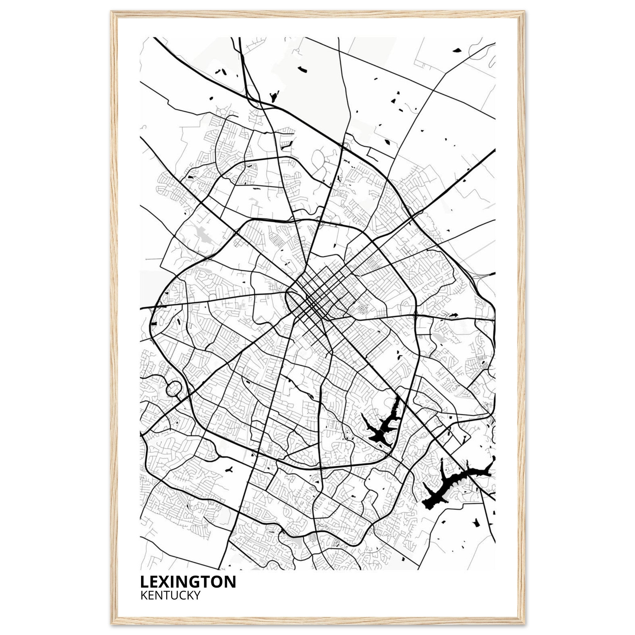 Lexington Kentucky City Map Poster | Custom Map Art Print - Ink And Atlas