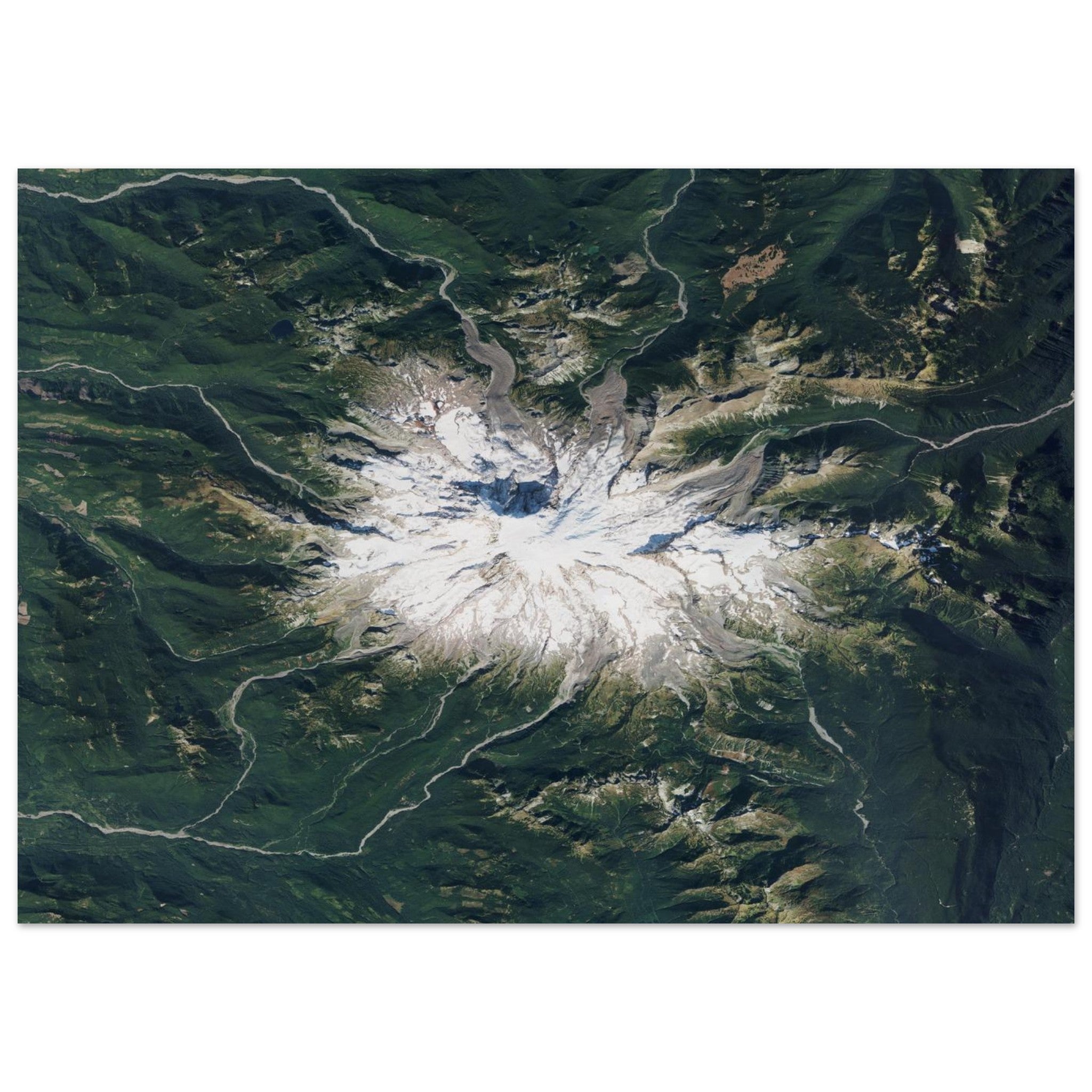 Mount Rainier National Park Natural Earth Print - Ink And Atlas