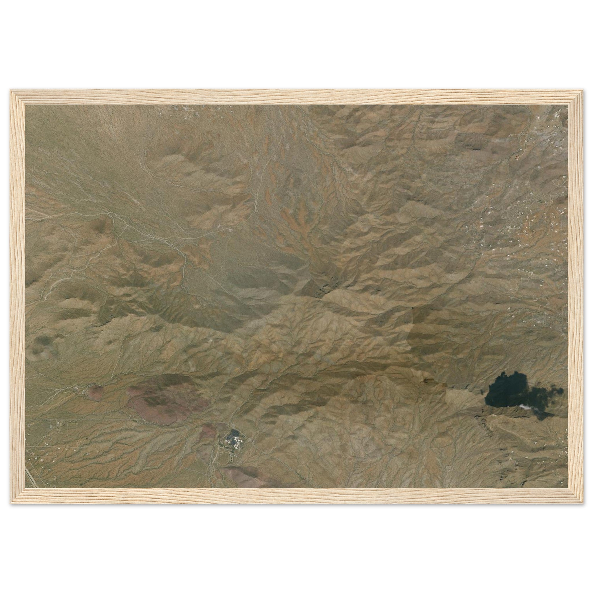 Saguaro National Park Natural Earth Print - Ink And Atlas