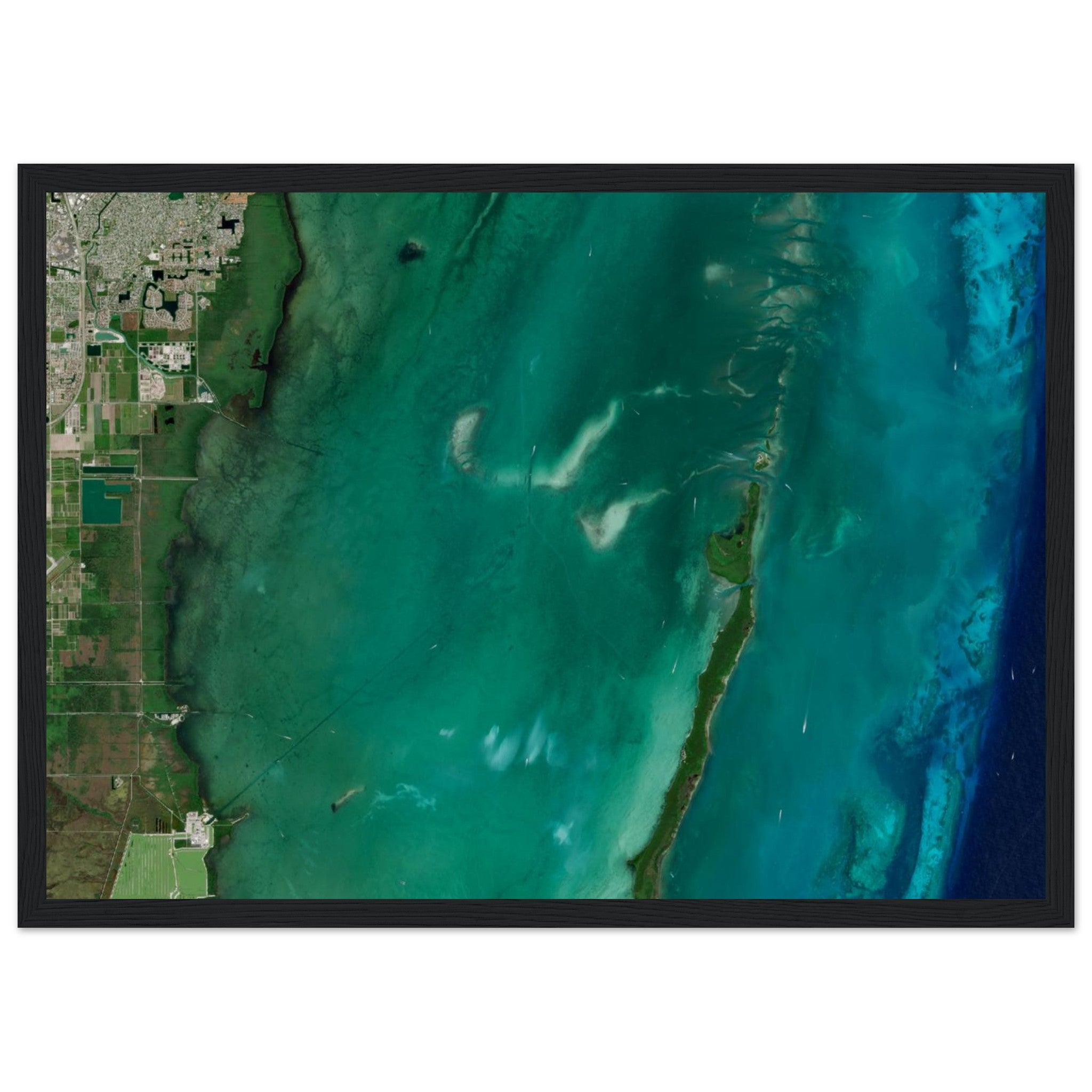 Biscayne National Park Natural Earth Print - Ink And Atlas