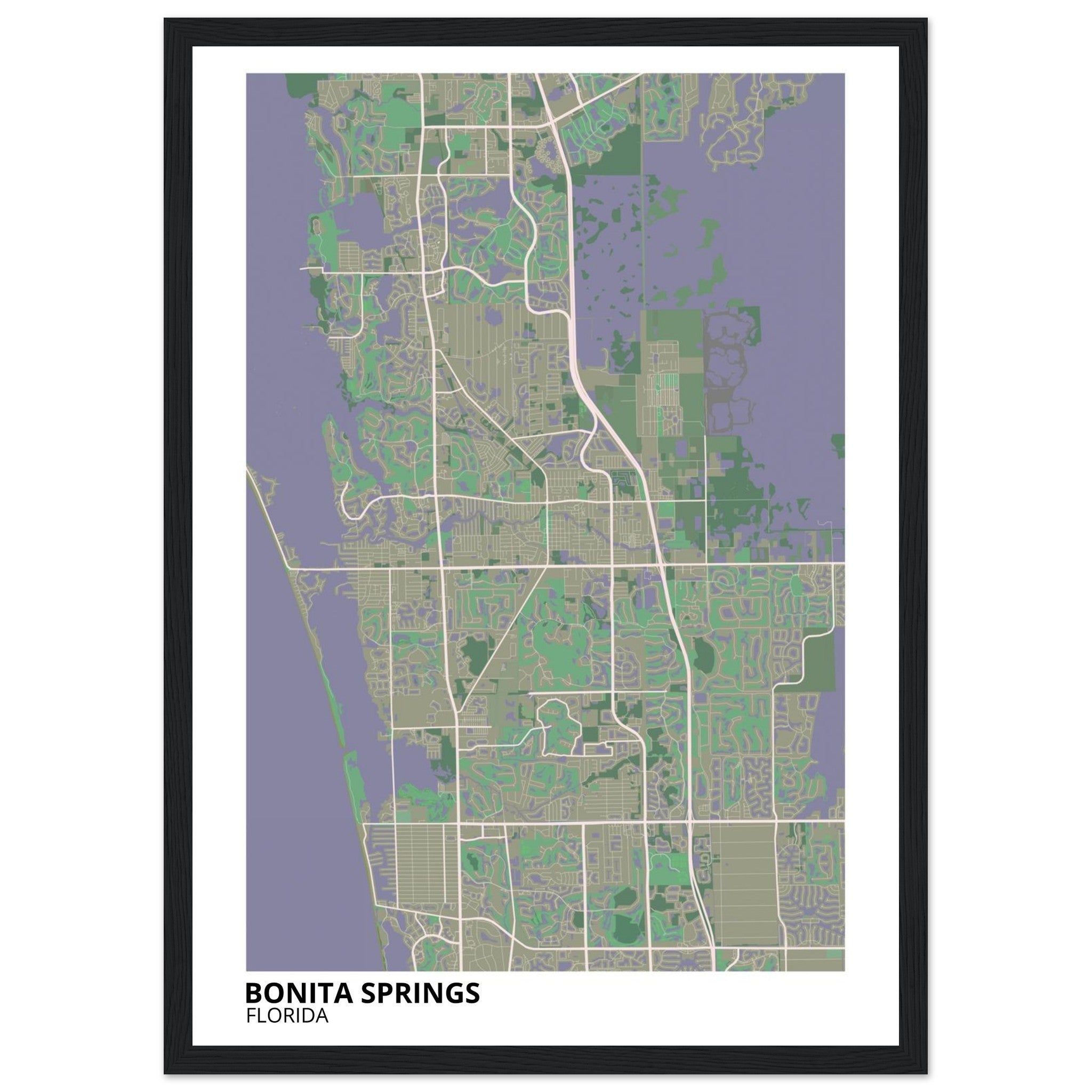 bonita springs map poster print