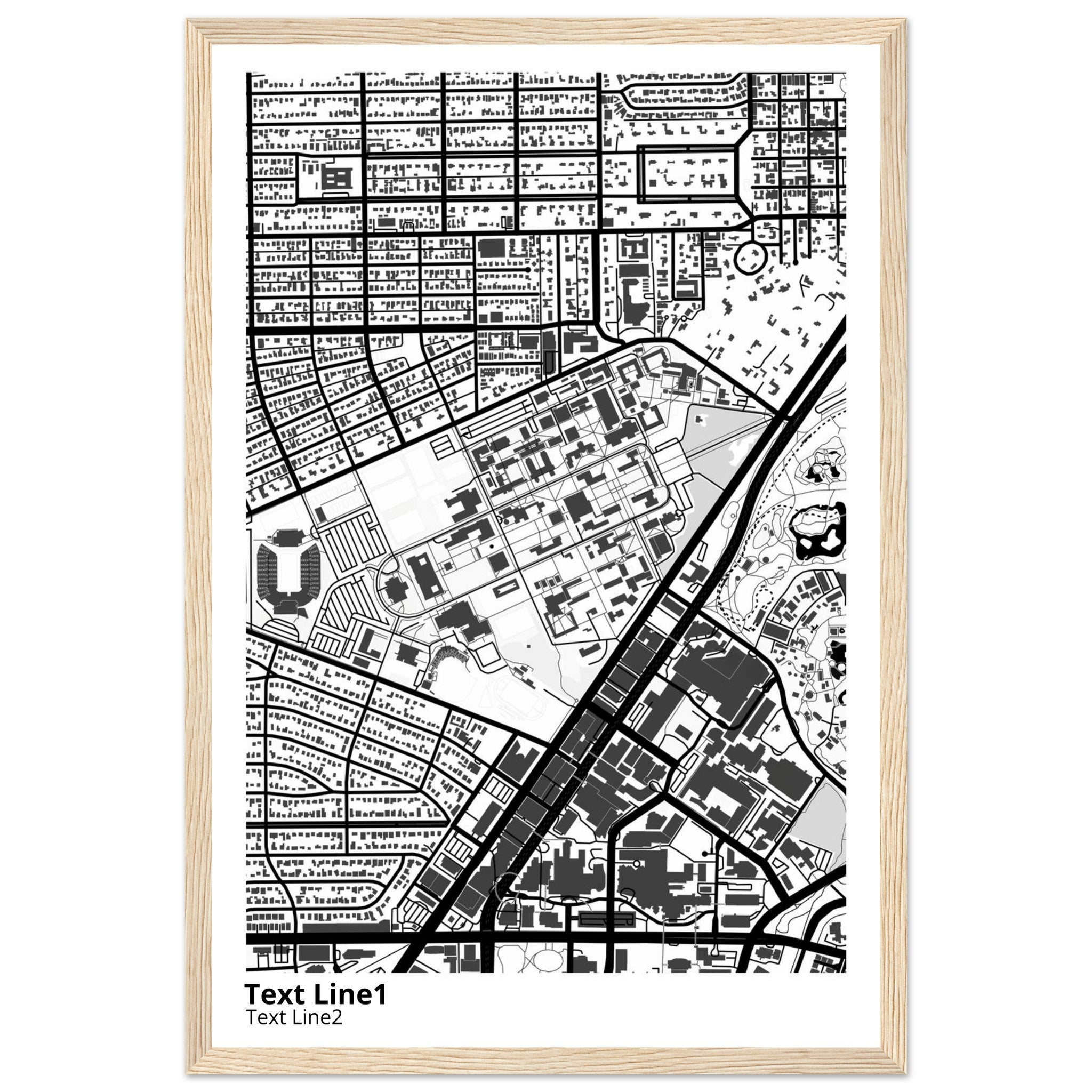 rice university modern campus map print