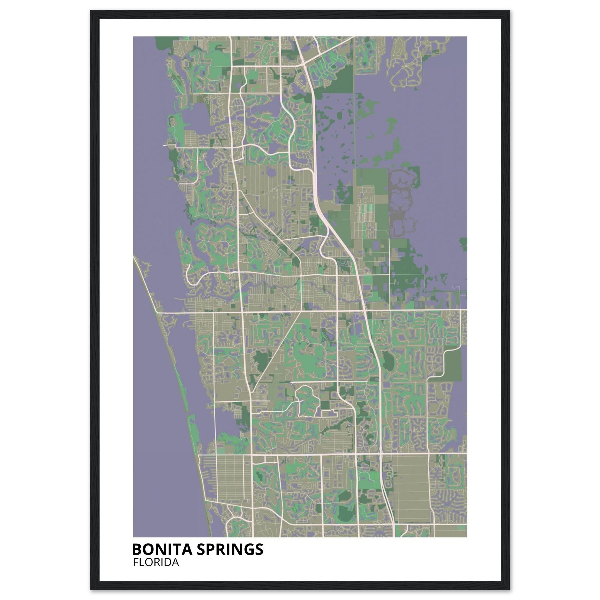 bonita springs map poster print