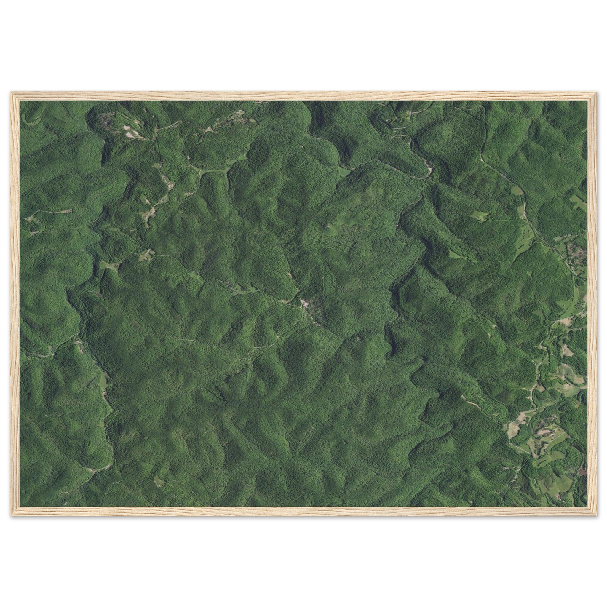 Wind Cave National Park Natural Earth Print - Ink And Atlas