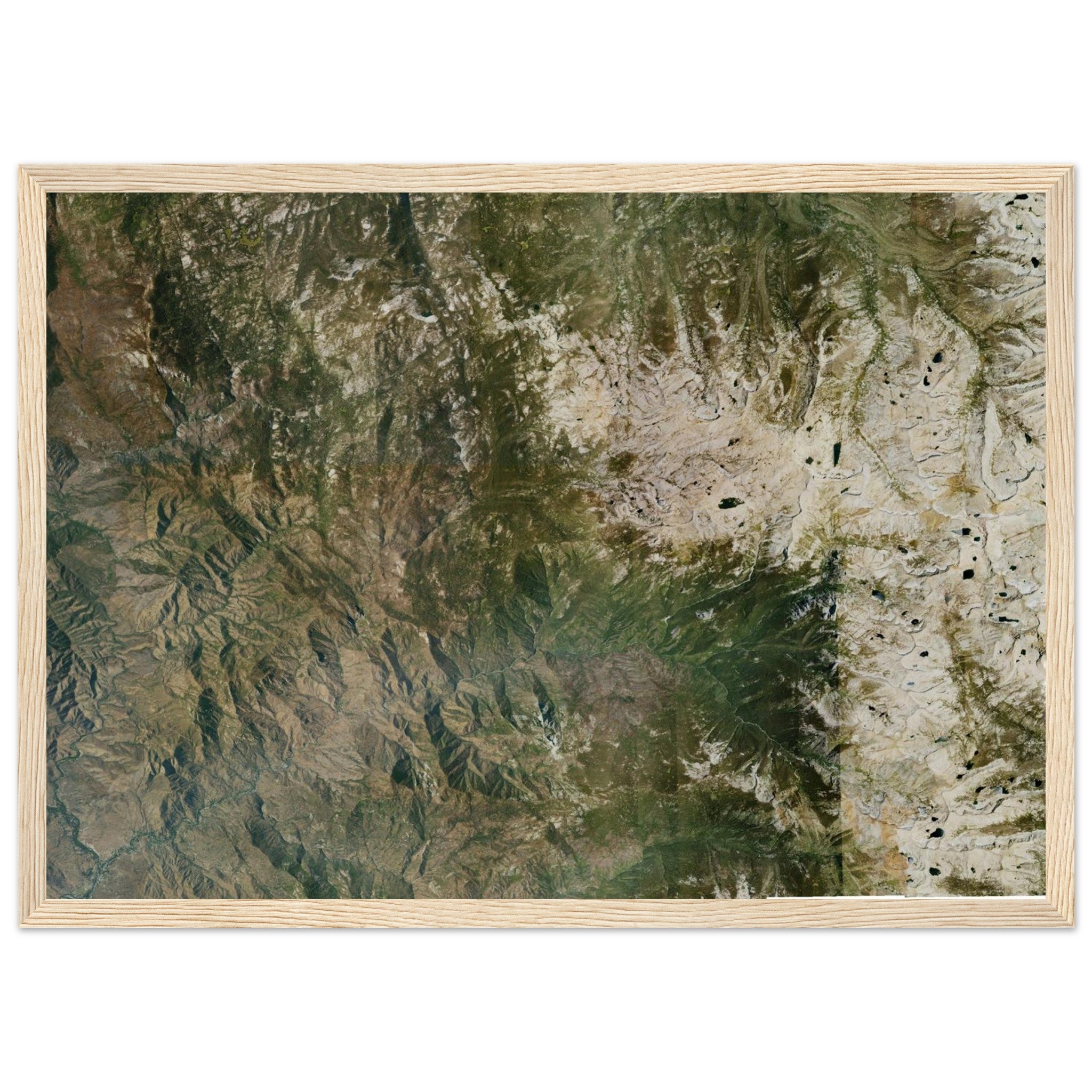Sequoia National Park Natural Earth Print - Ink And Atlas