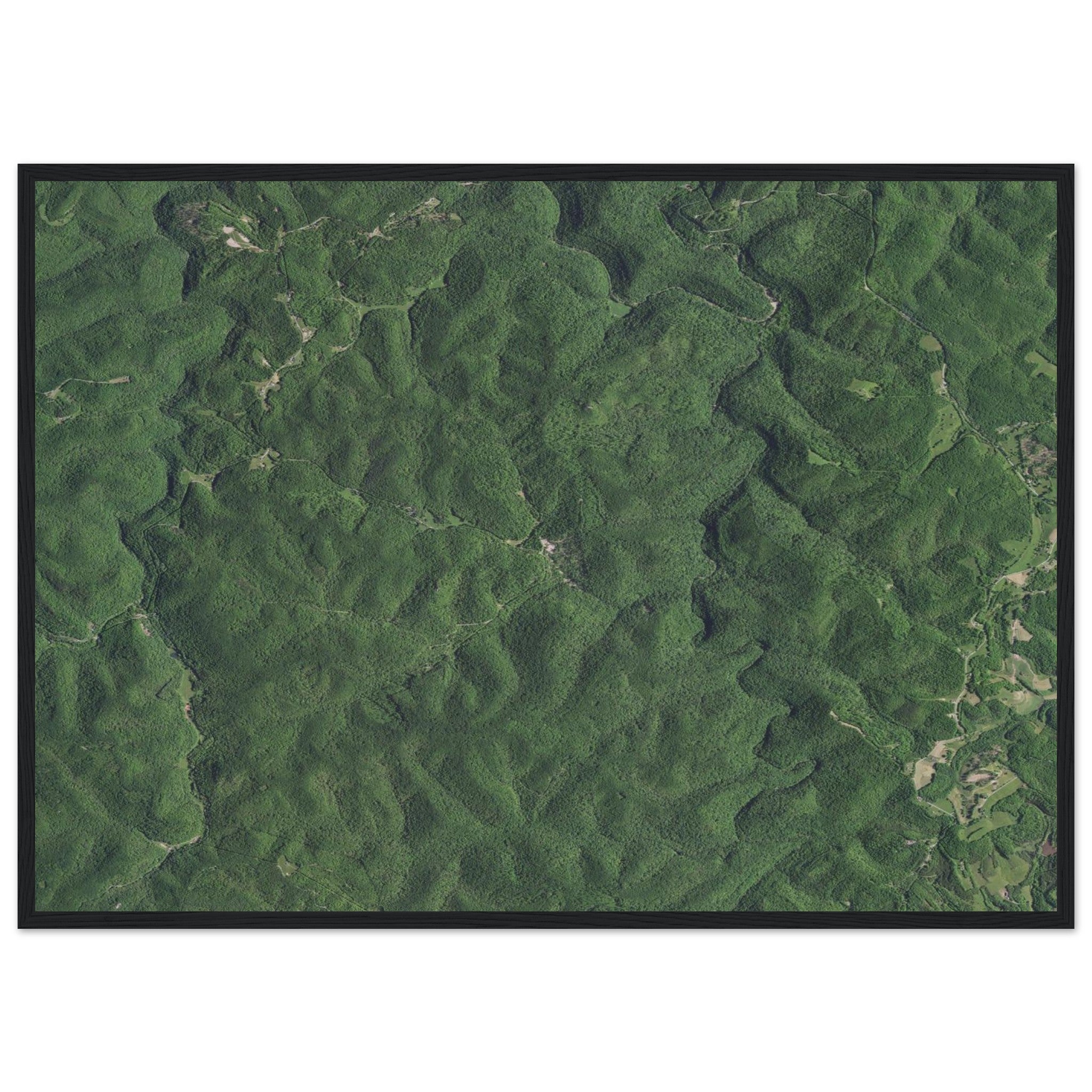Wind Cave National Park Natural Earth Print - Ink And Atlas