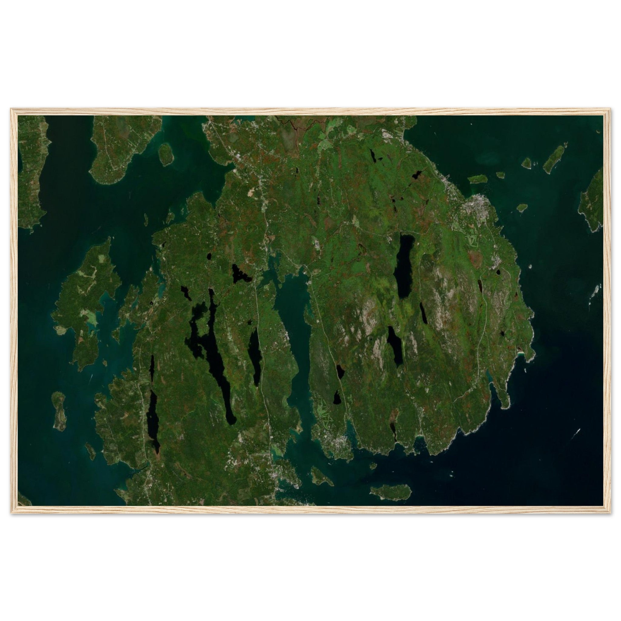 Acadia National Park Natural Earth Print - Ink And Atlas