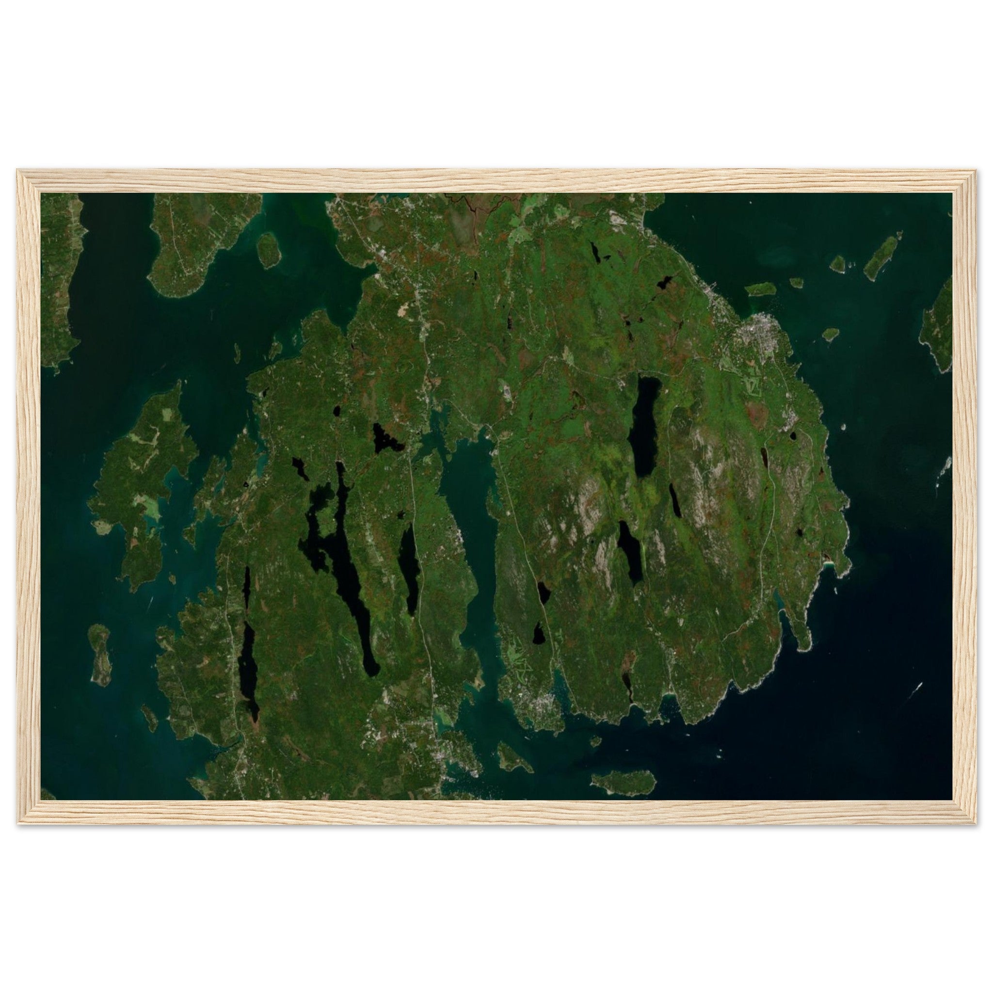 Acadia National Park Natural Earth Print - Ink And Atlas