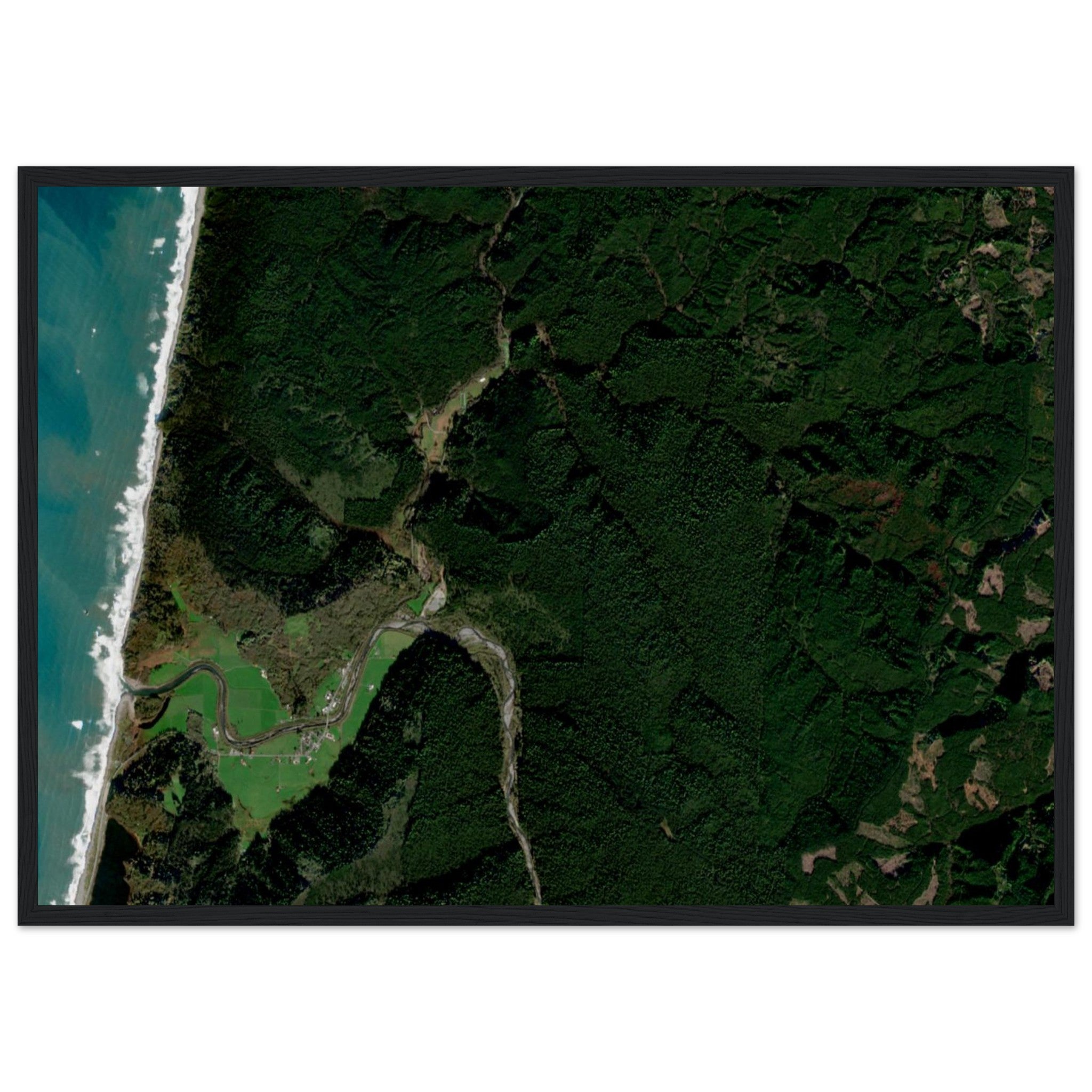 Redwood National Park Natural Earth Print - Ink And Atlas