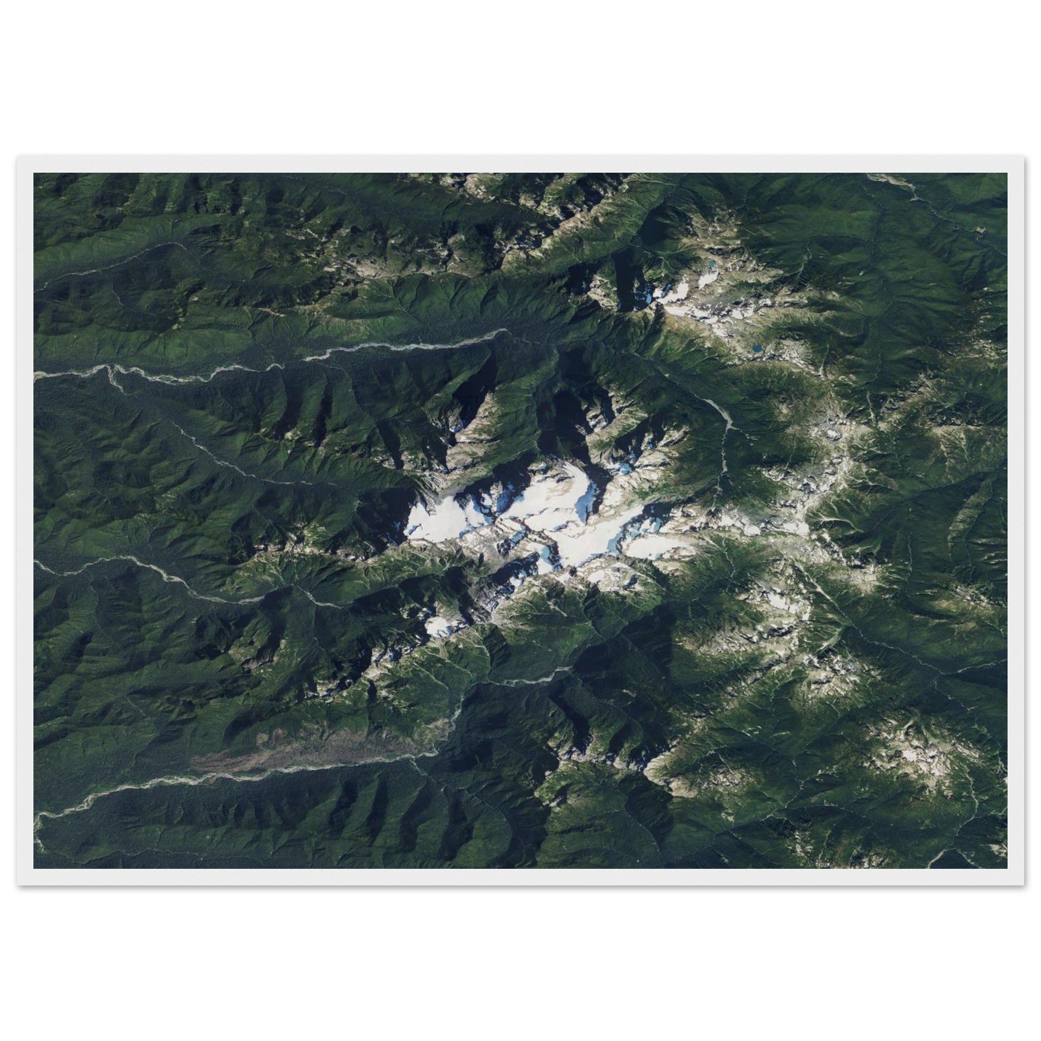 Olympic National Park Natural Earth Print - Ink And Atlas