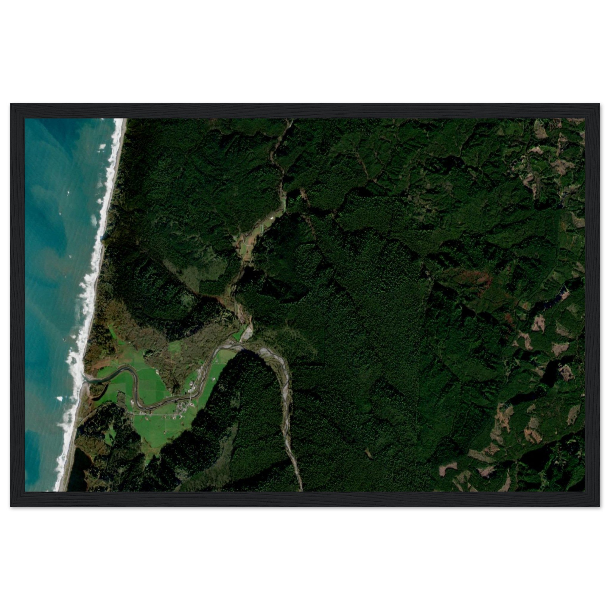 Redwood National Park Natural Earth Print - Ink And Atlas