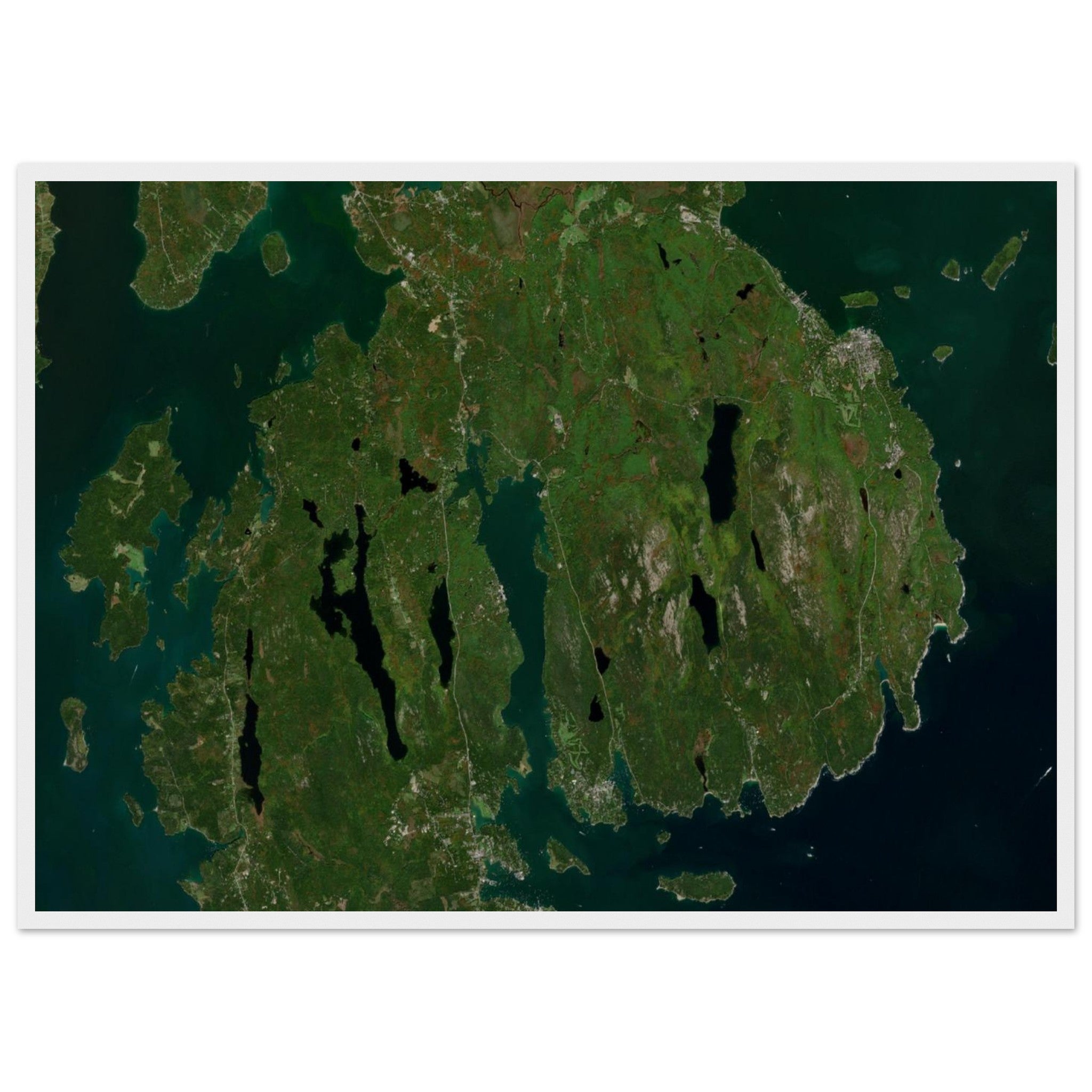 Acadia National Park Natural Earth Print - Ink And Atlas