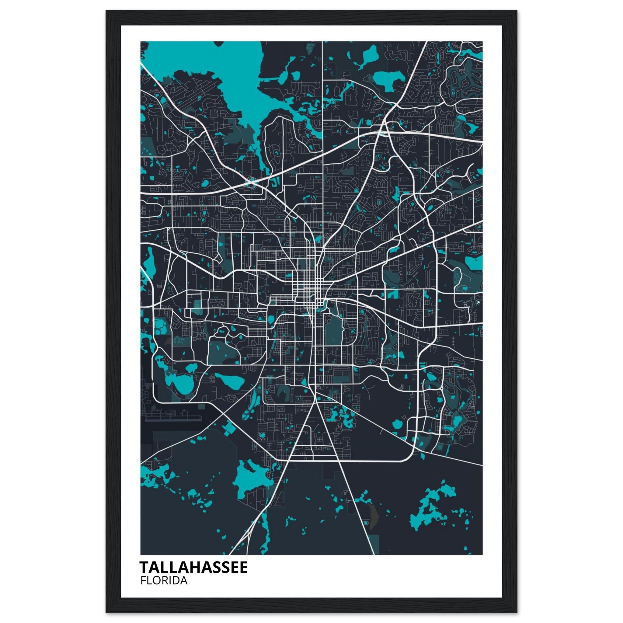 tallahassee map poster print