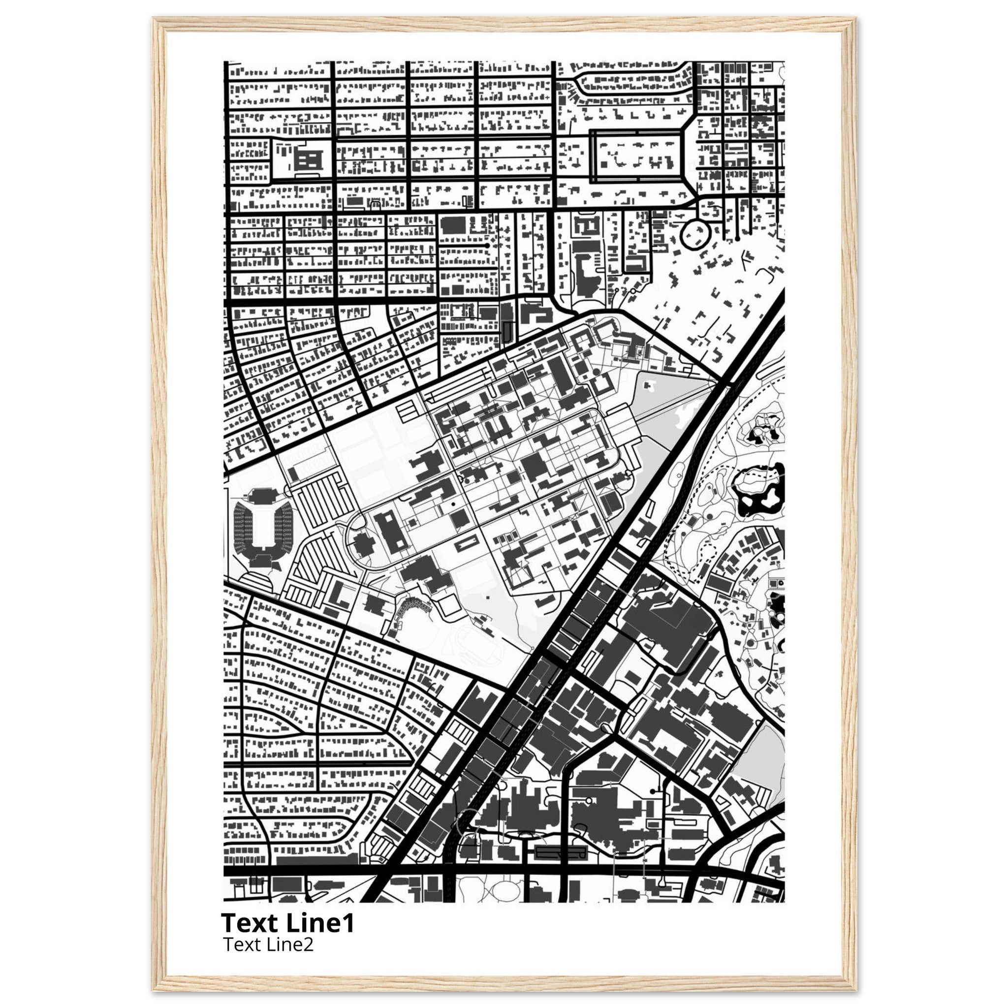 rice university modern campus map print