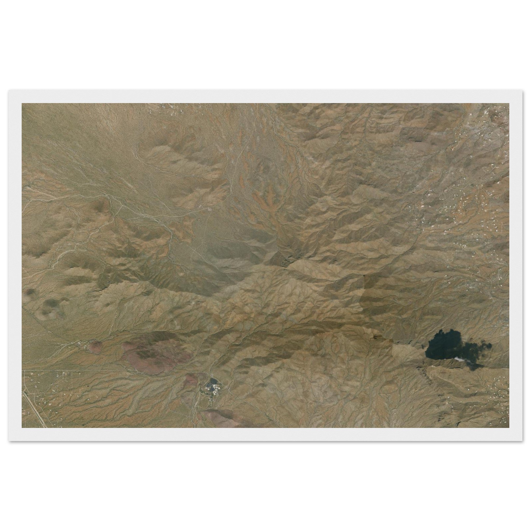 Saguaro National Park Natural Earth Print - Ink And Atlas