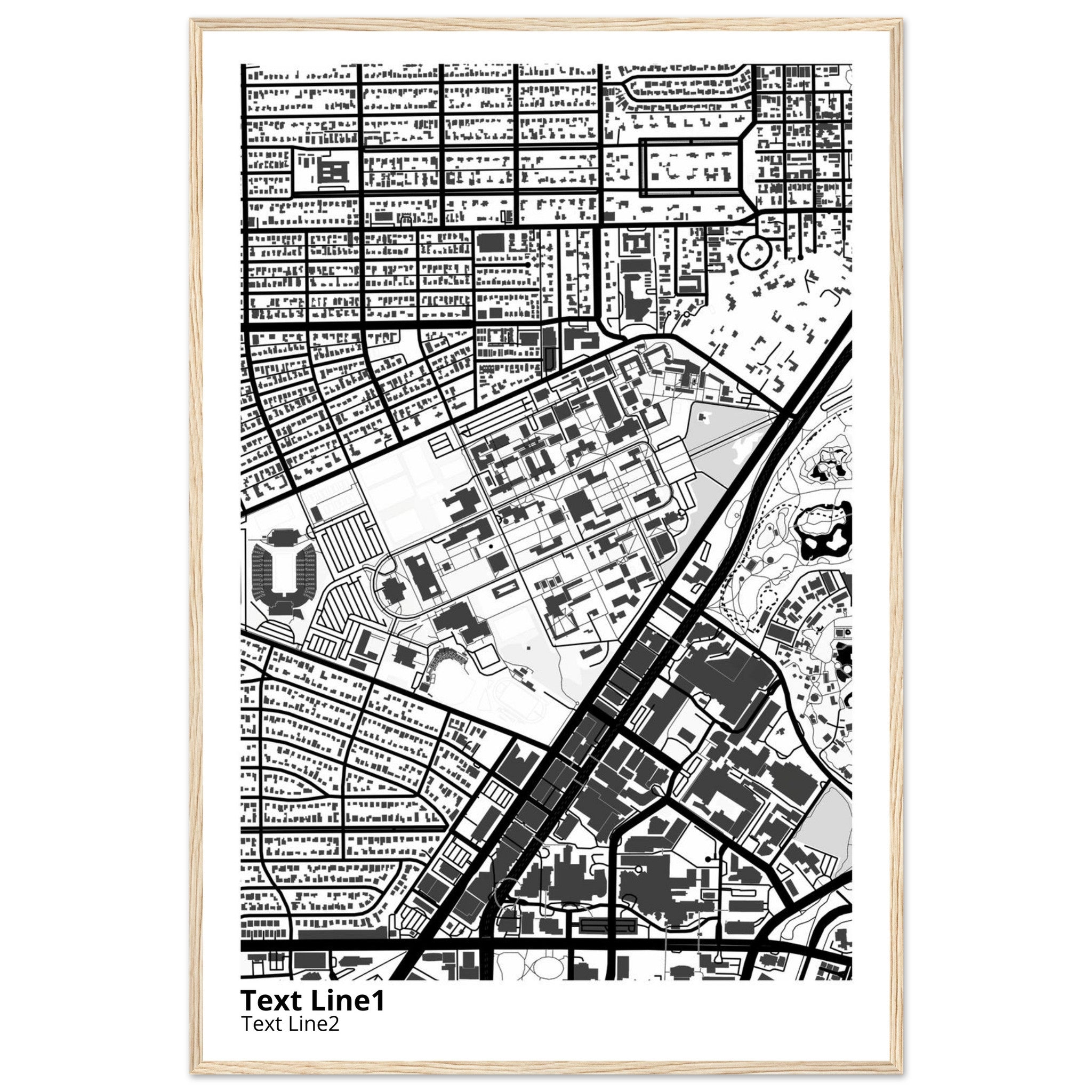 rice university modern campus map print
