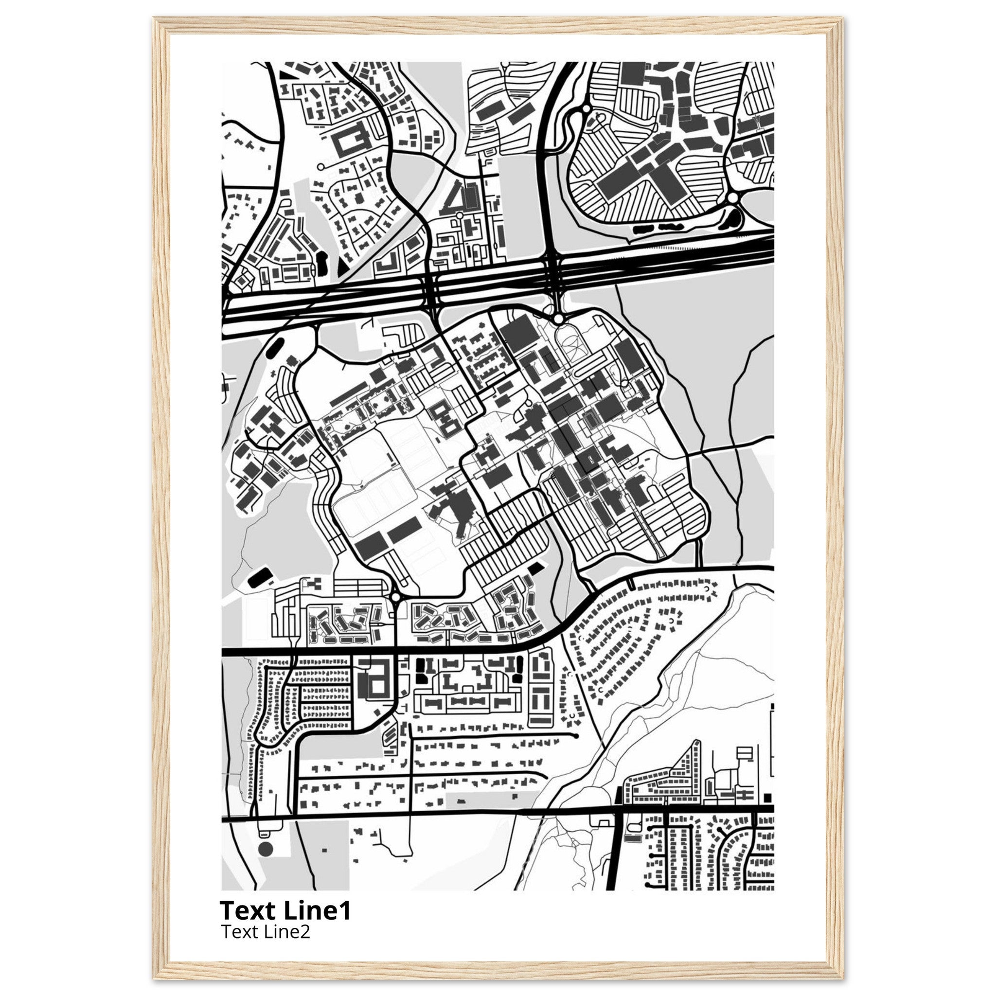 The University of Texas San Antonio Campus Map Poster | Alumni Gift - Ink And Atlas