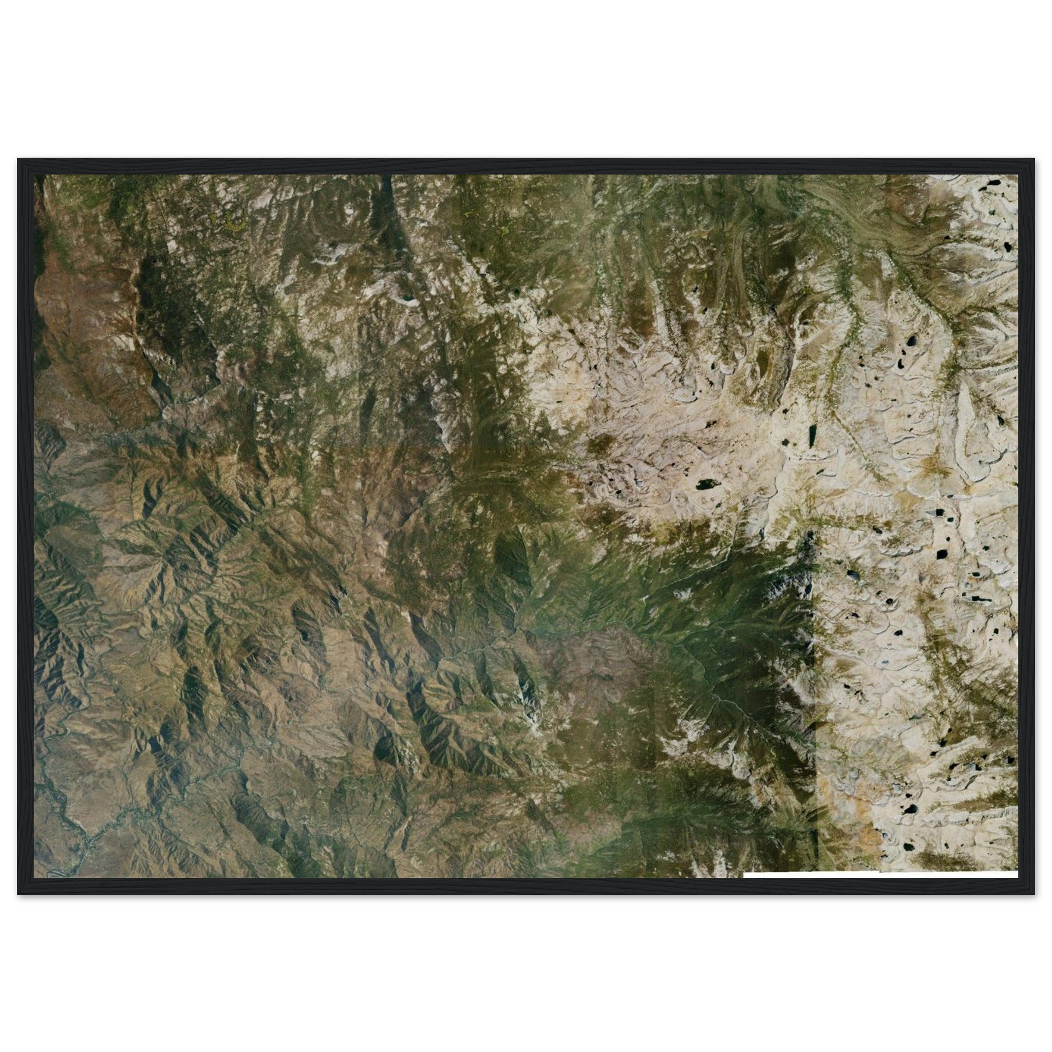 Sequoia National Park Natural Earth Print - Ink And Atlas