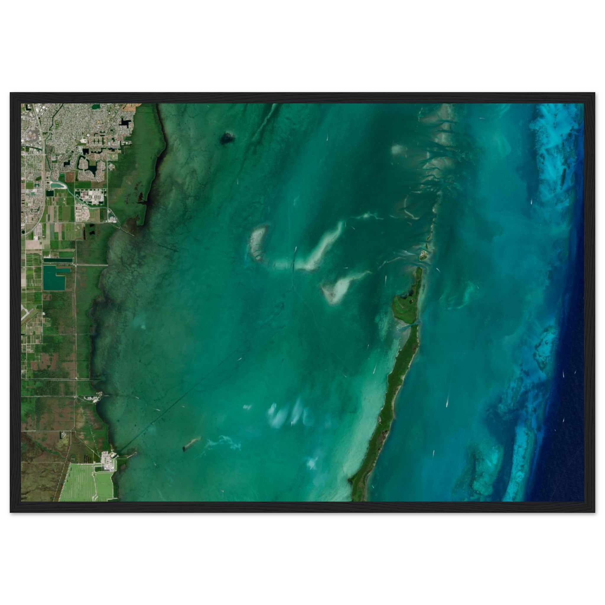 Biscayne National Park Natural Earth Print - Ink And Atlas