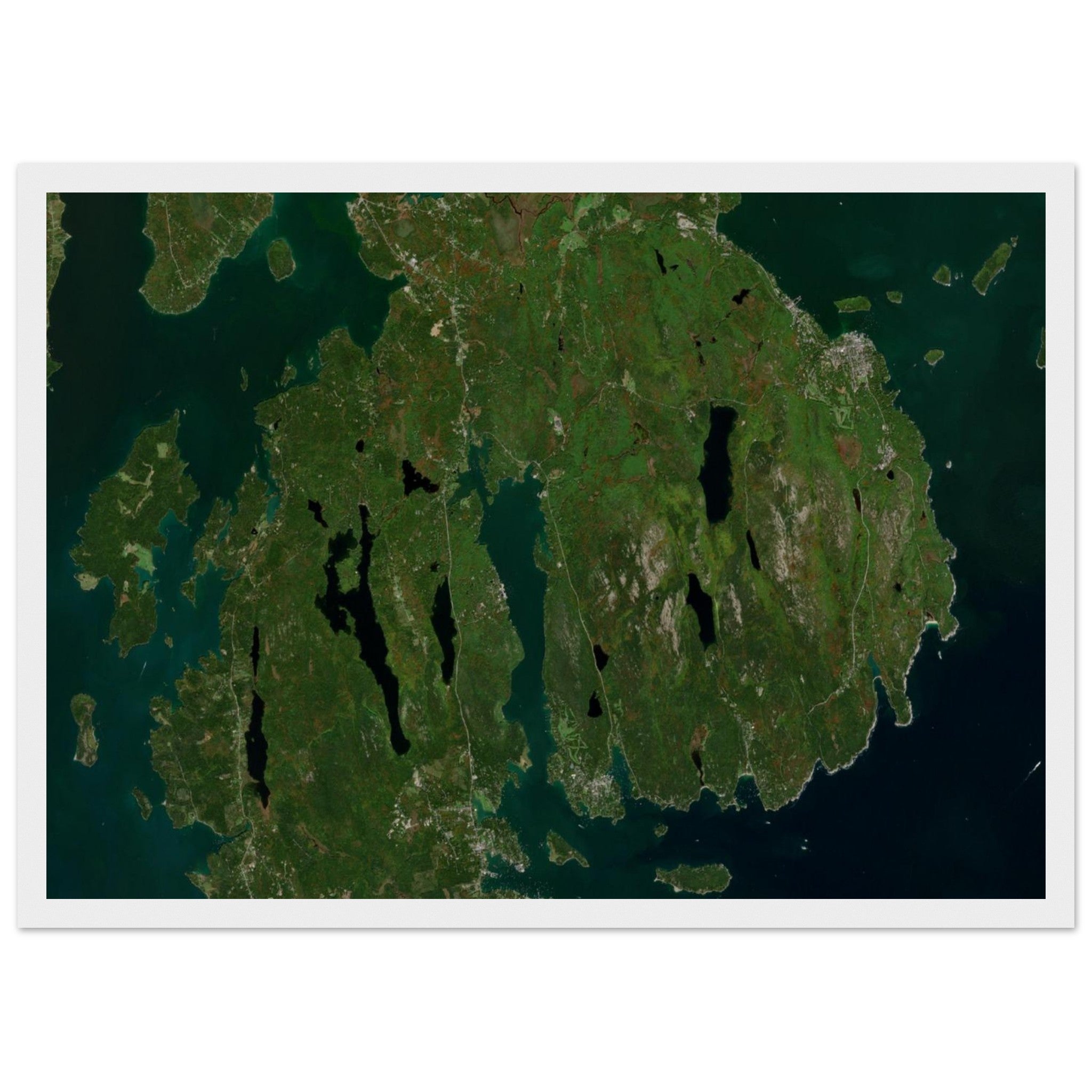 Acadia National Park Natural Earth Print - Ink And Atlas