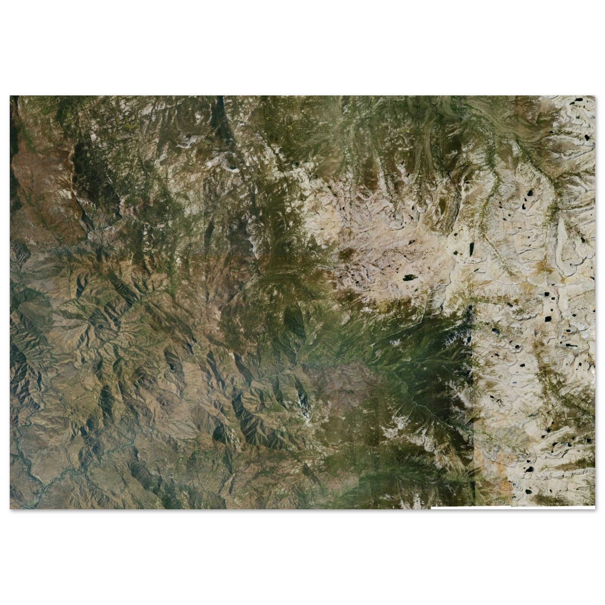 Sequoia National Park Natural Earth Print - Ink And Atlas