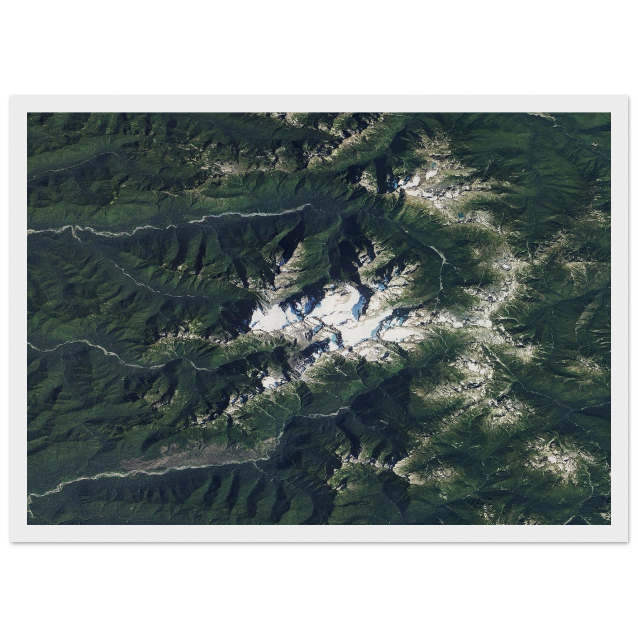 Olympic National Park Natural Earth Print - Ink And Atlas