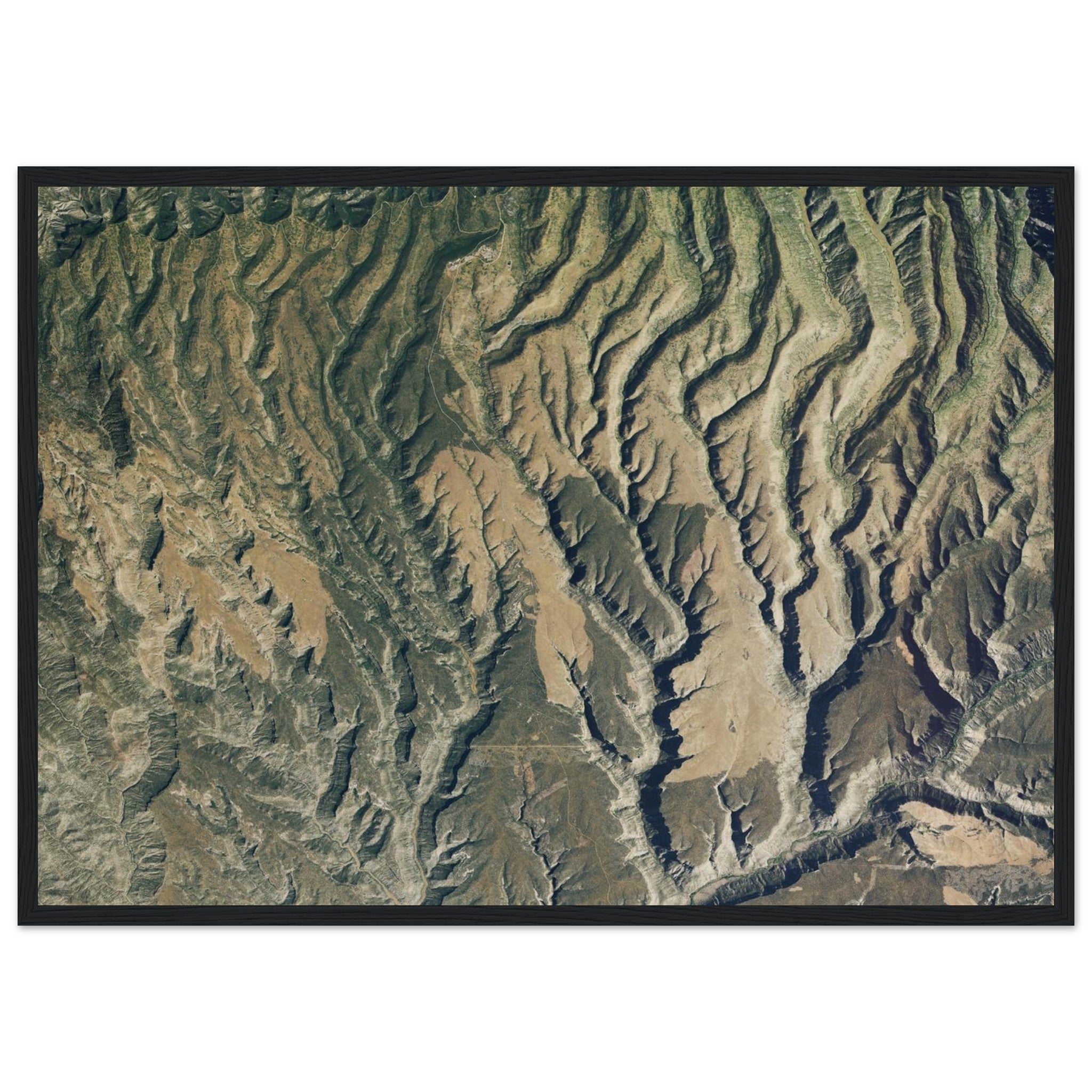 Mesa Verde National Park Natural Earth Print - Ink And Atlas