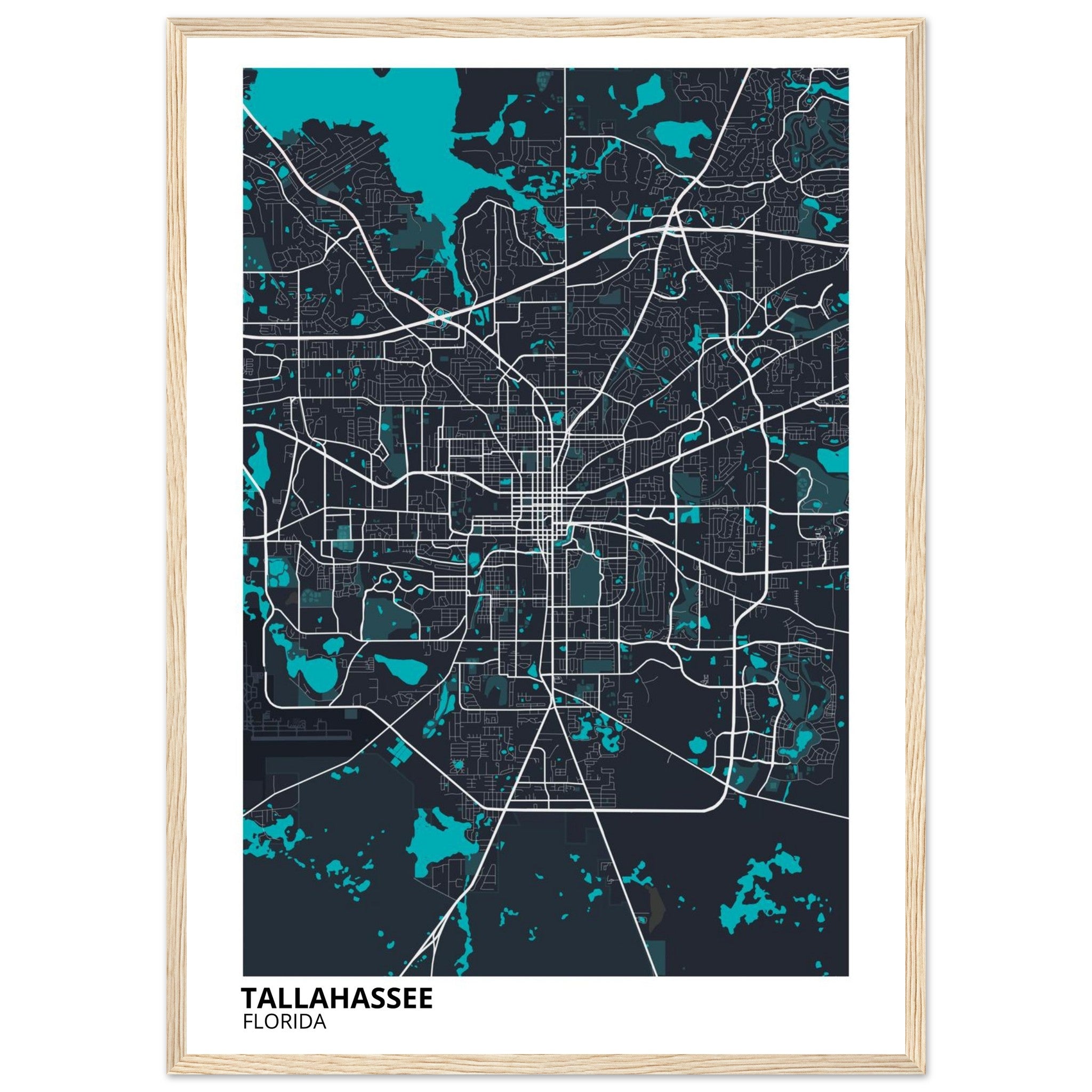 tallahassee map poster print