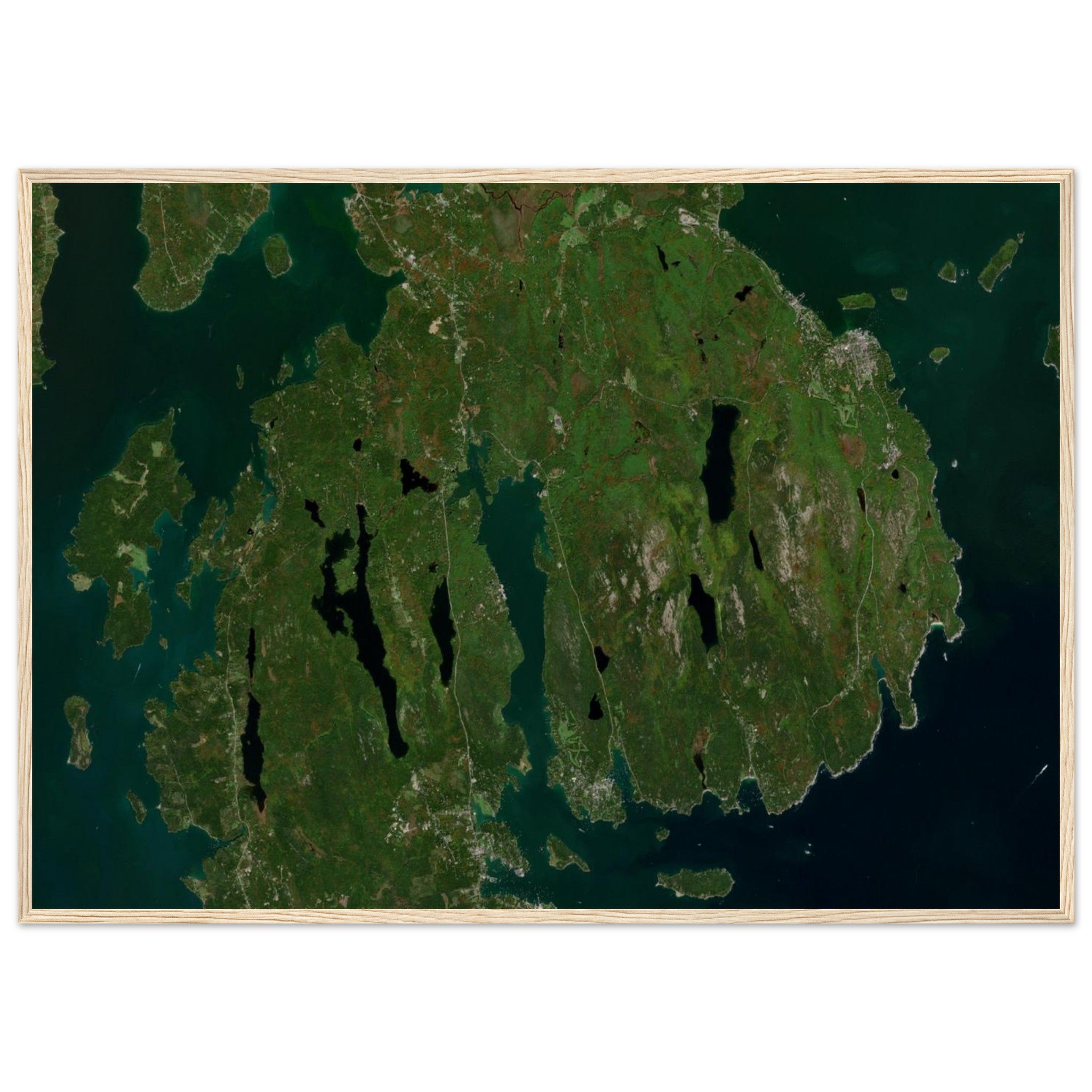 Acadia National Park Natural Earth Print - Ink And Atlas