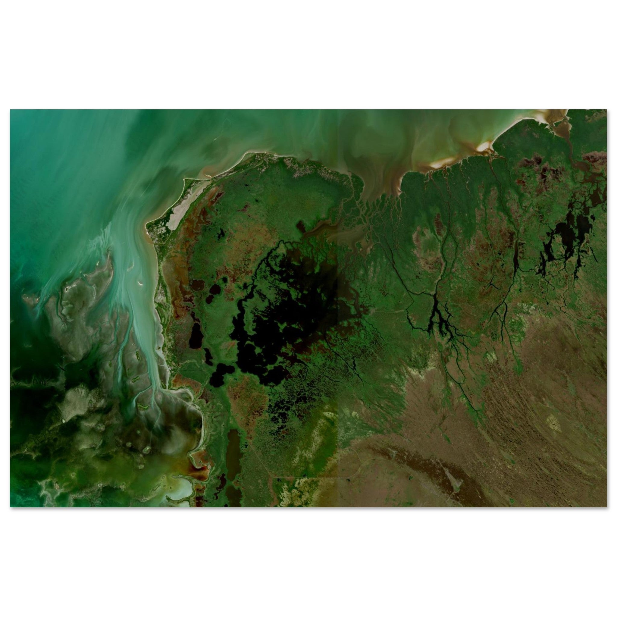 Everglades National Park Natural Earth Print - Ink And Atlas