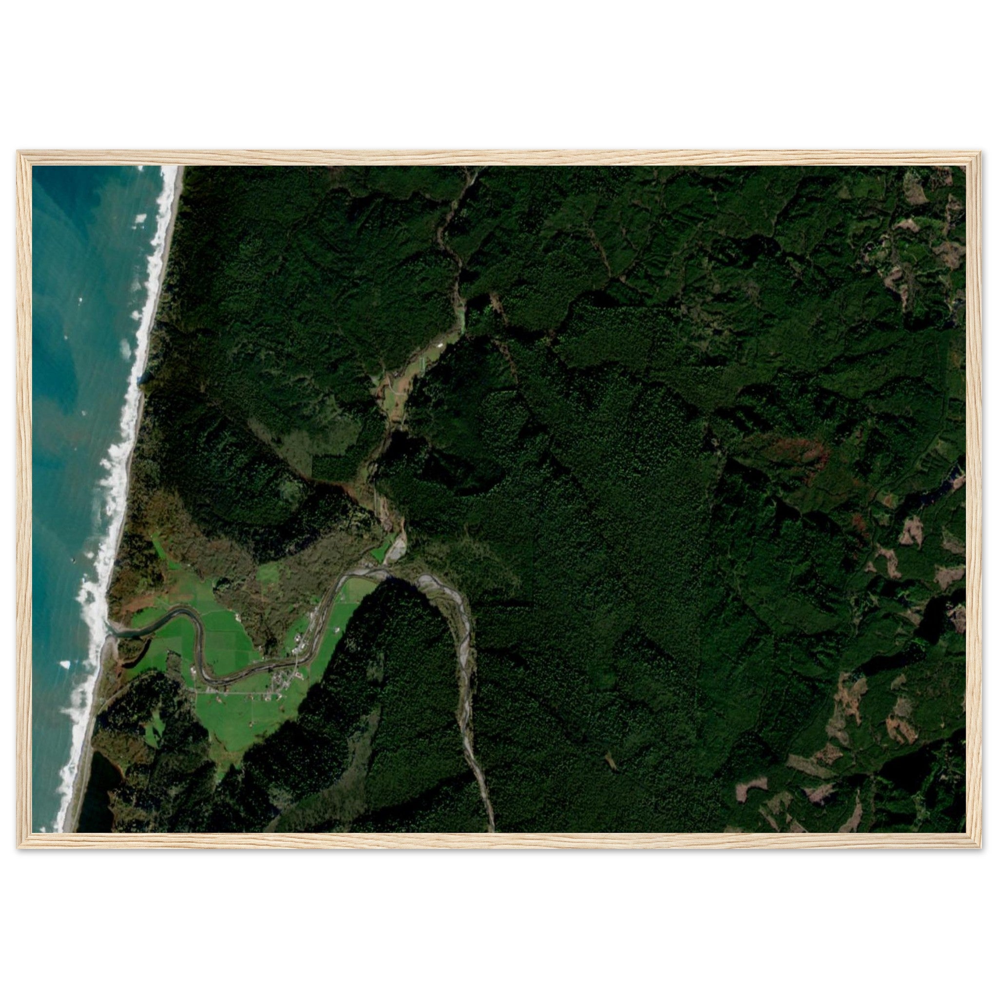 Redwood National Park Natural Earth Print - Ink And Atlas