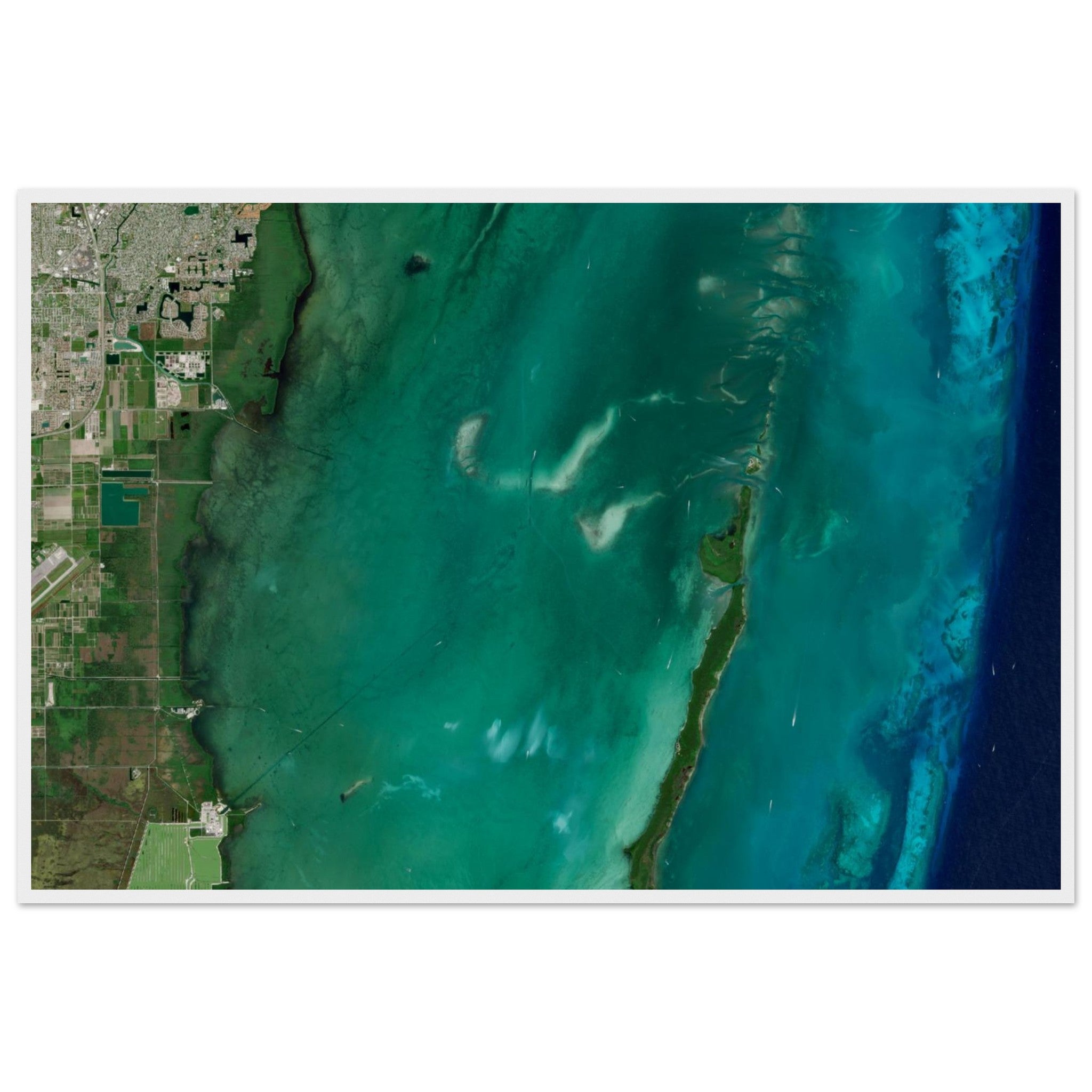 Biscayne National Park Natural Earth Print - Ink And Atlas
