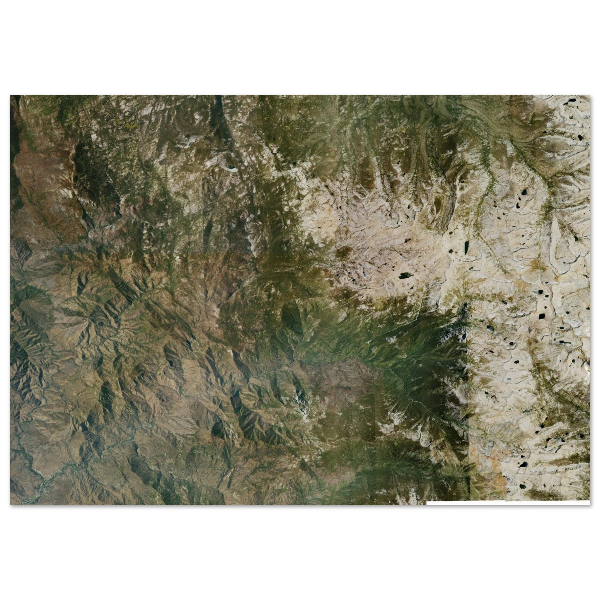 Sequoia National Park Natural Earth Print - Ink And Atlas
