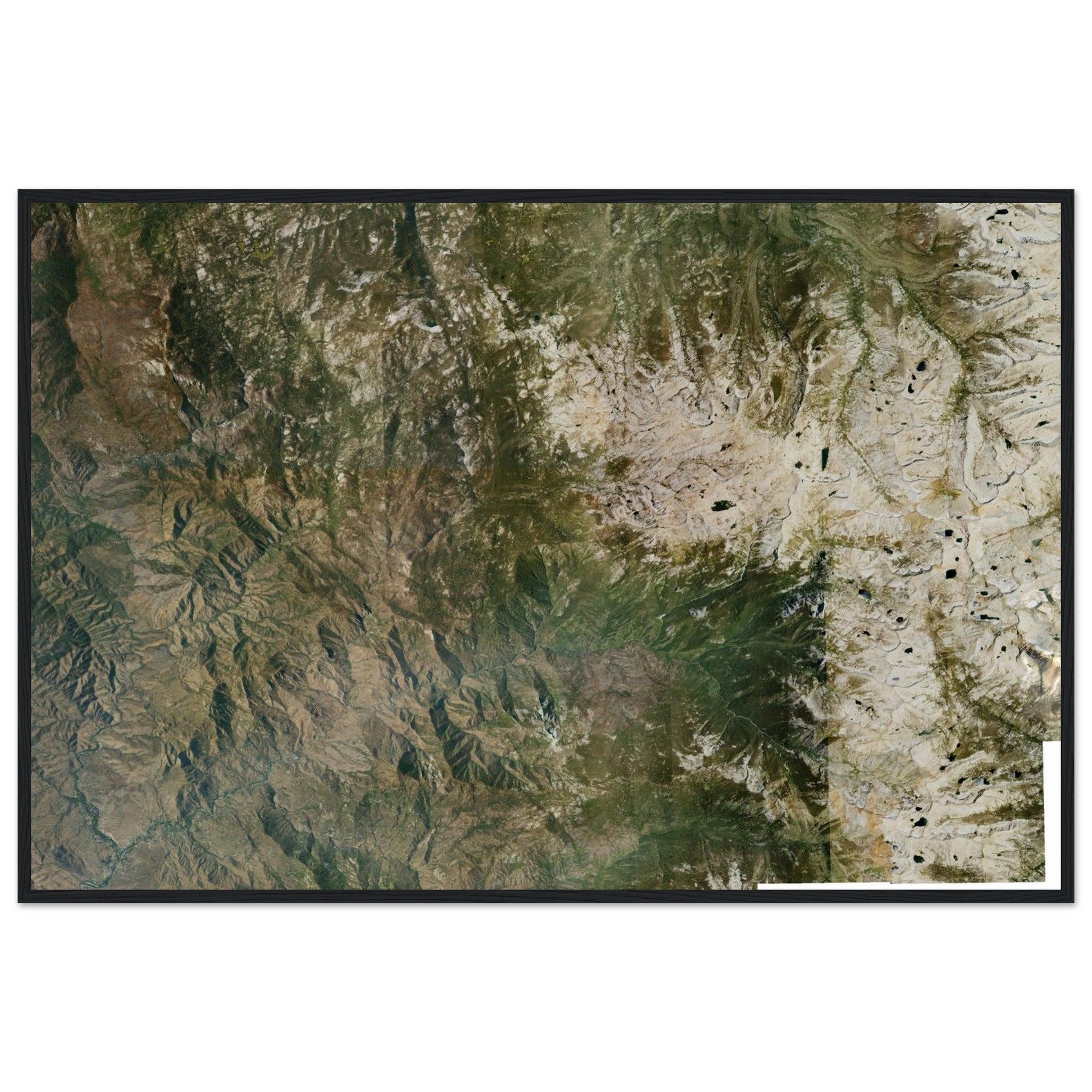 Sequoia National Park Natural Earth Print - Ink And Atlas