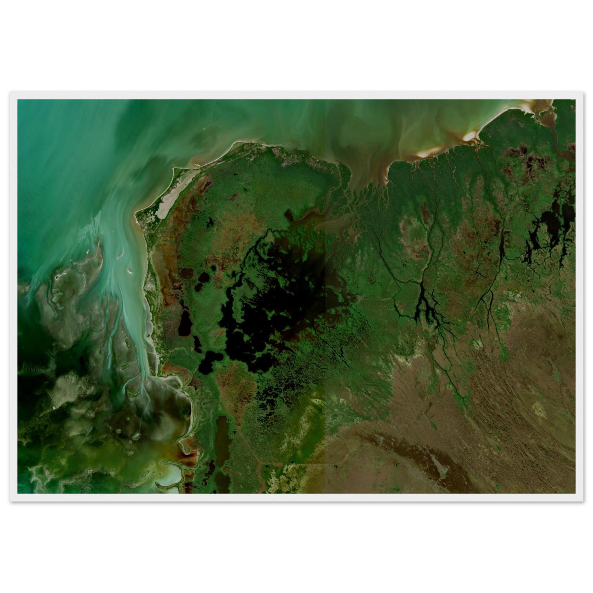Everglades National Park Natural Earth Print - Ink And Atlas
