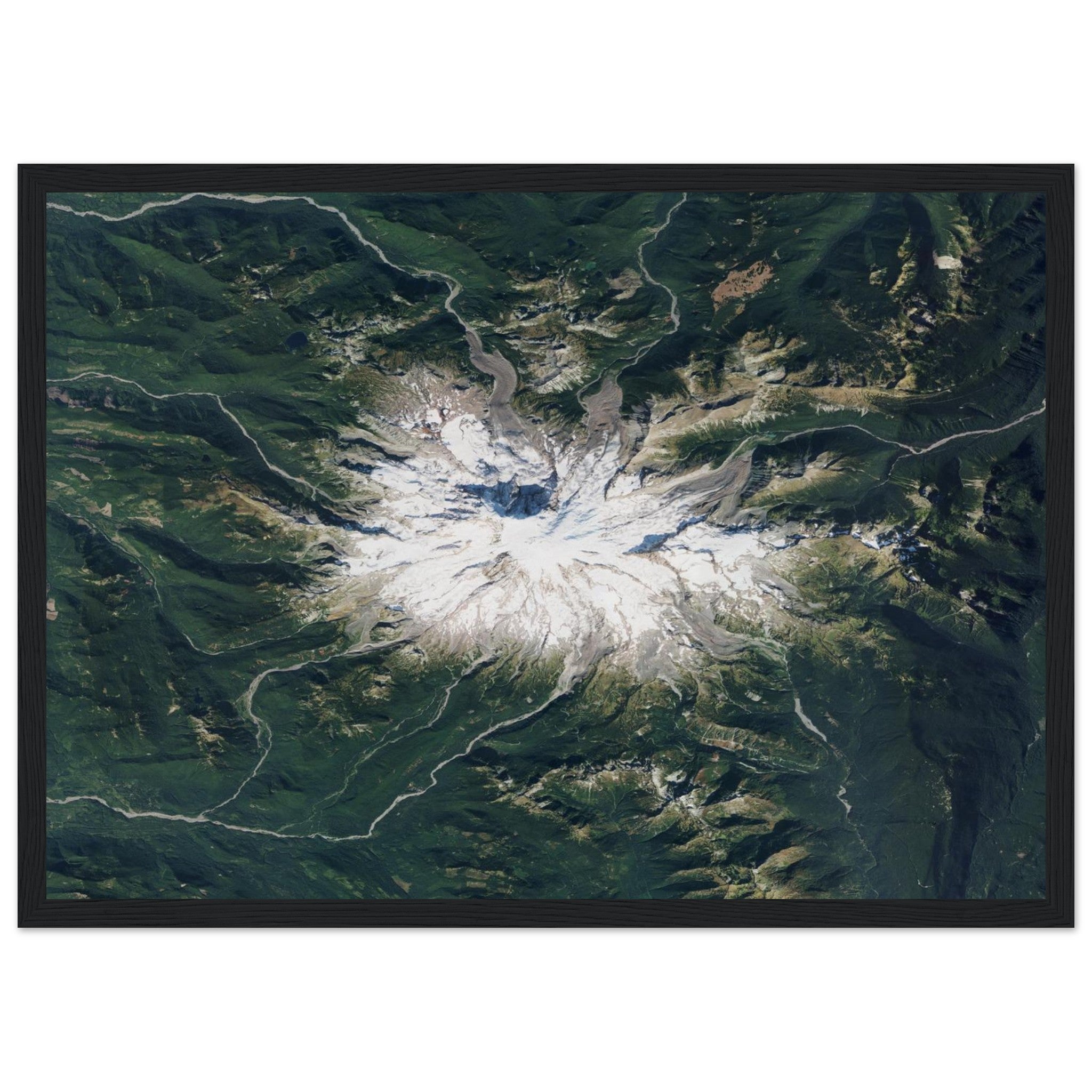 Mount Rainier National Park Natural Earth Print - Ink And Atlas