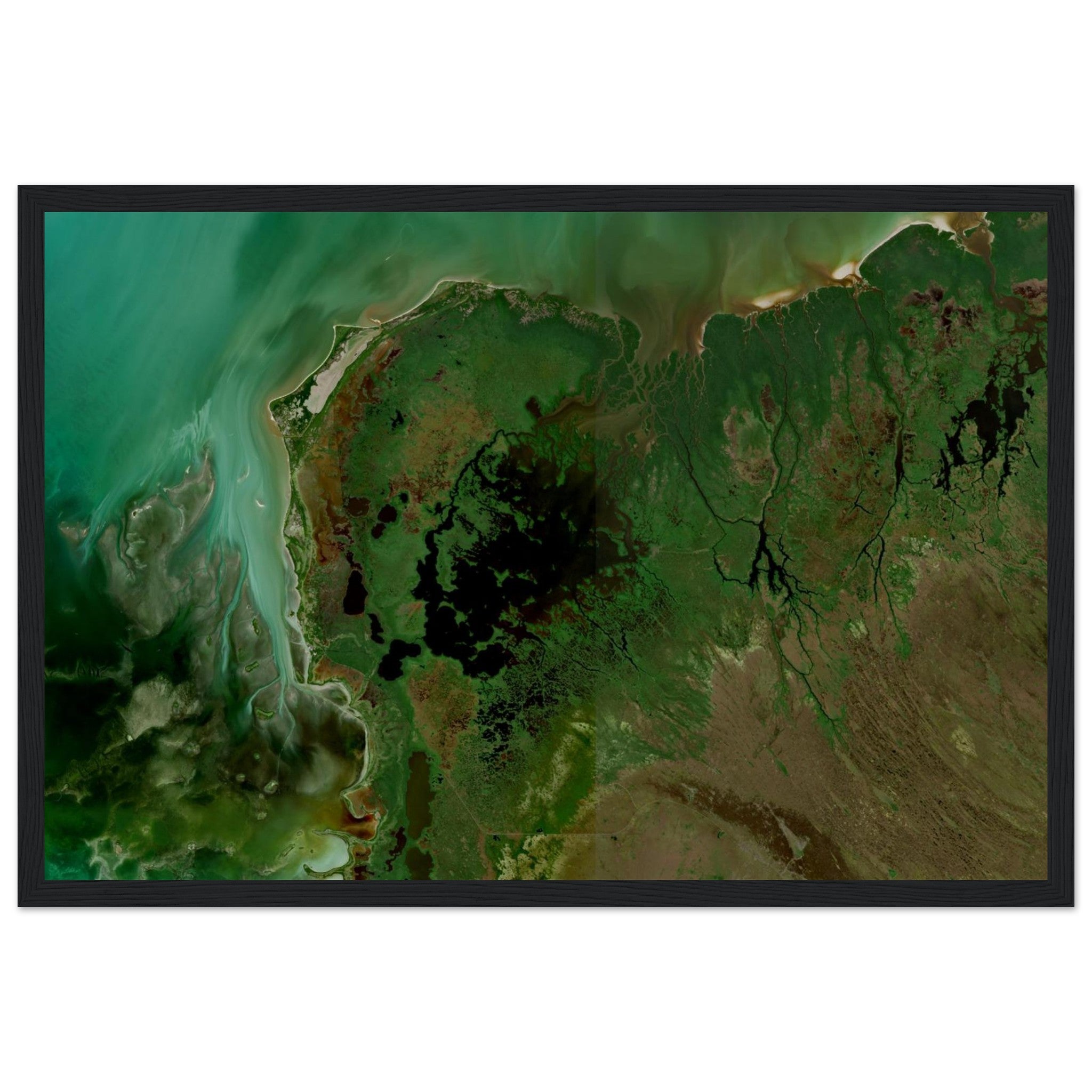 Everglades National Park Natural Earth Print - Ink And Atlas