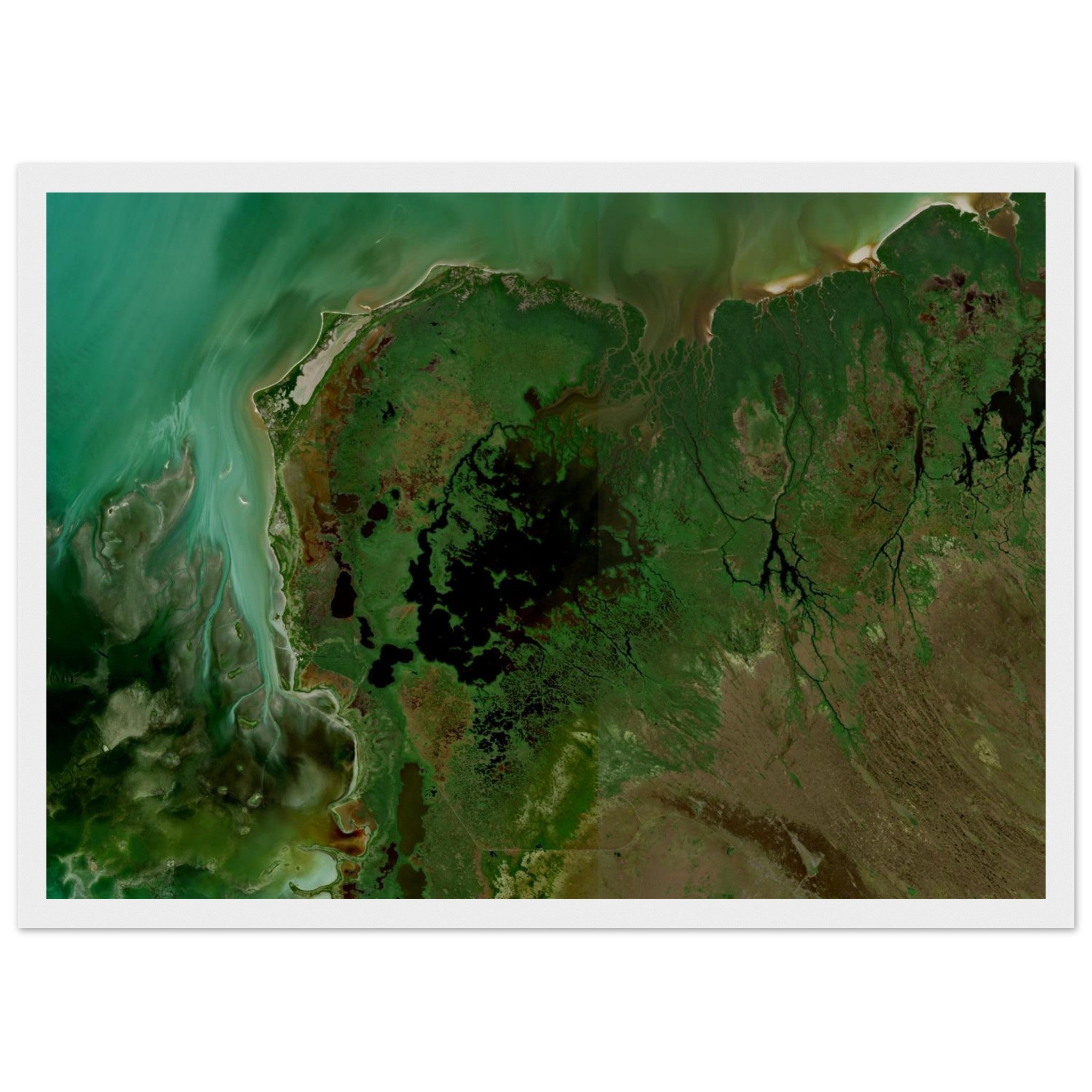 Everglades National Park Natural Earth Print - Ink And Atlas