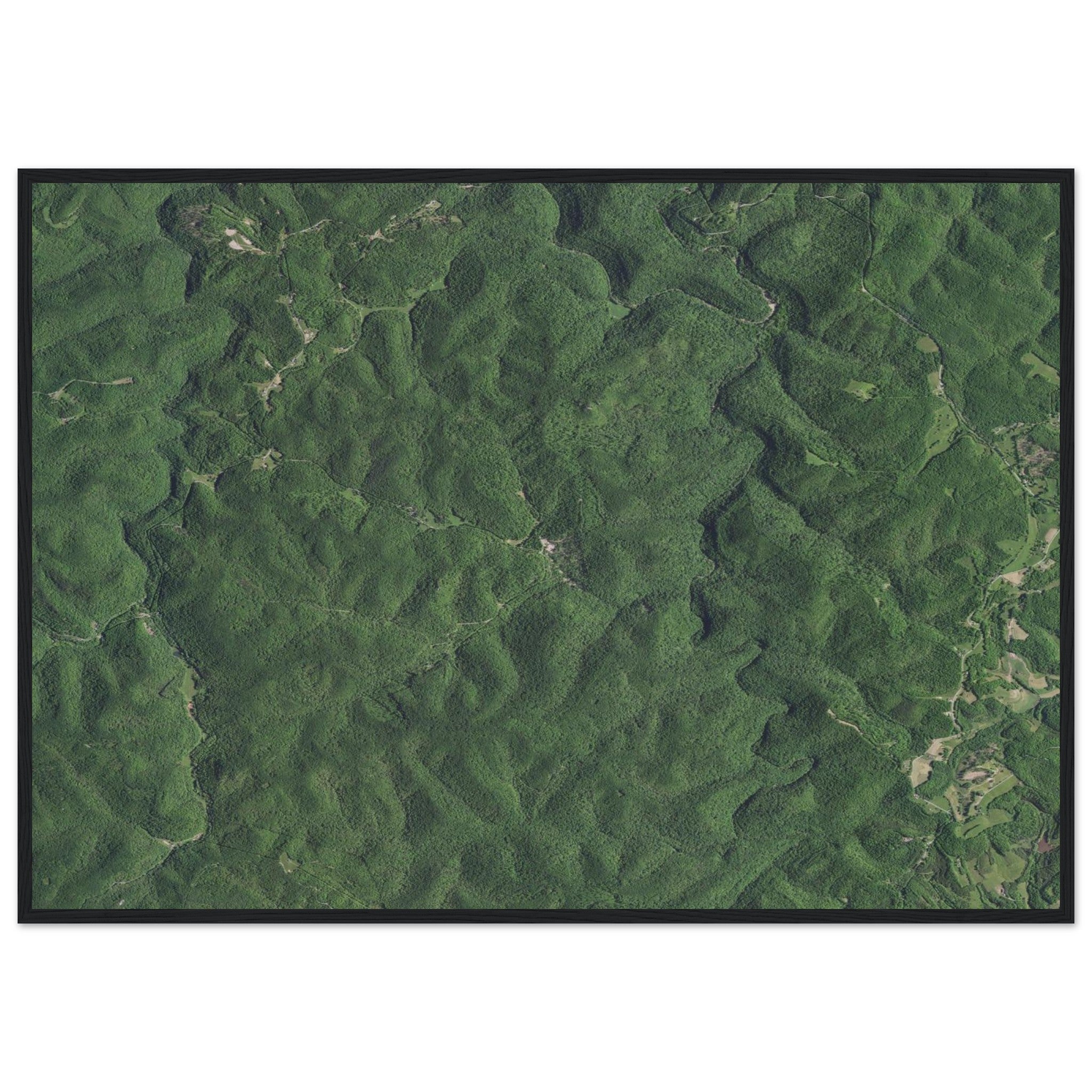 Wind Cave National Park Natural Earth Print - Ink And Atlas