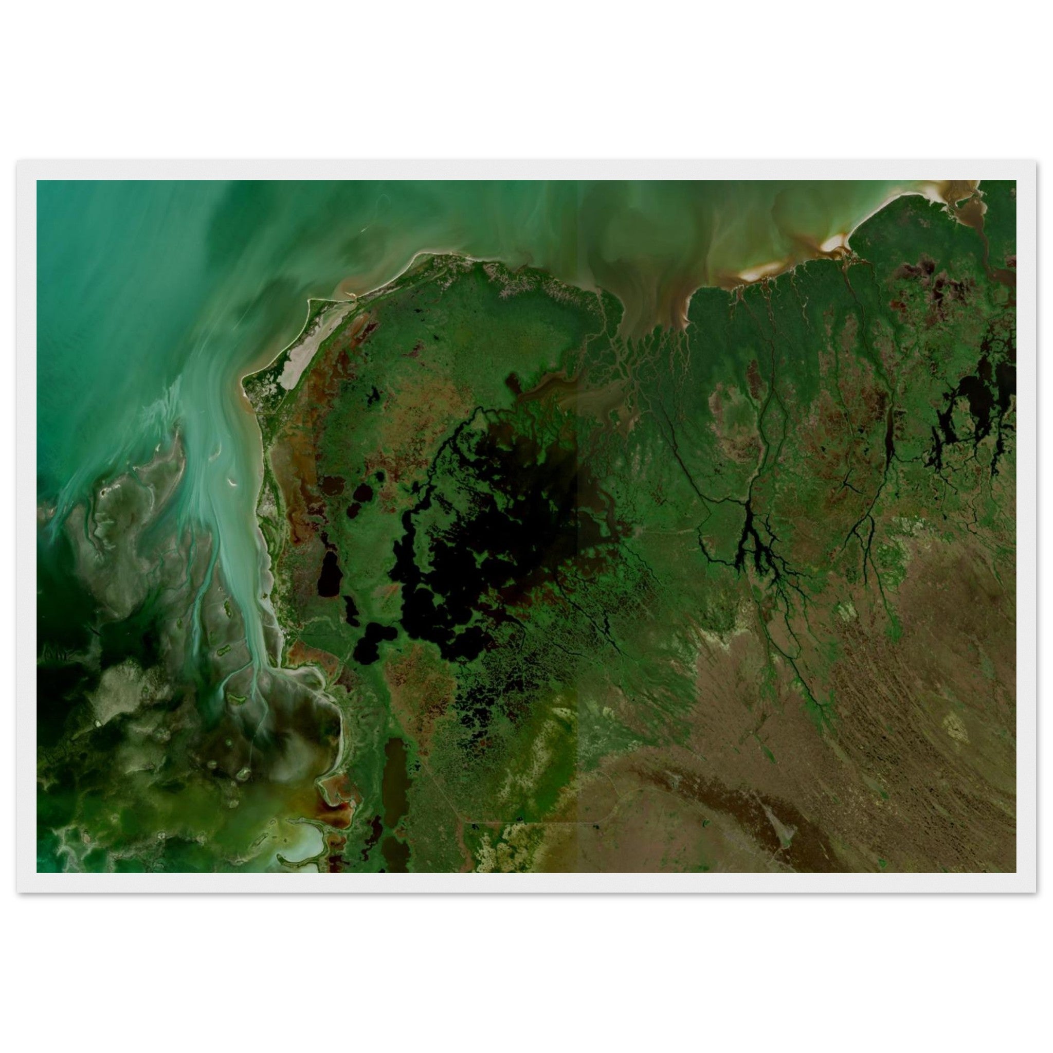 Everglades National Park Natural Earth Print - Ink And Atlas