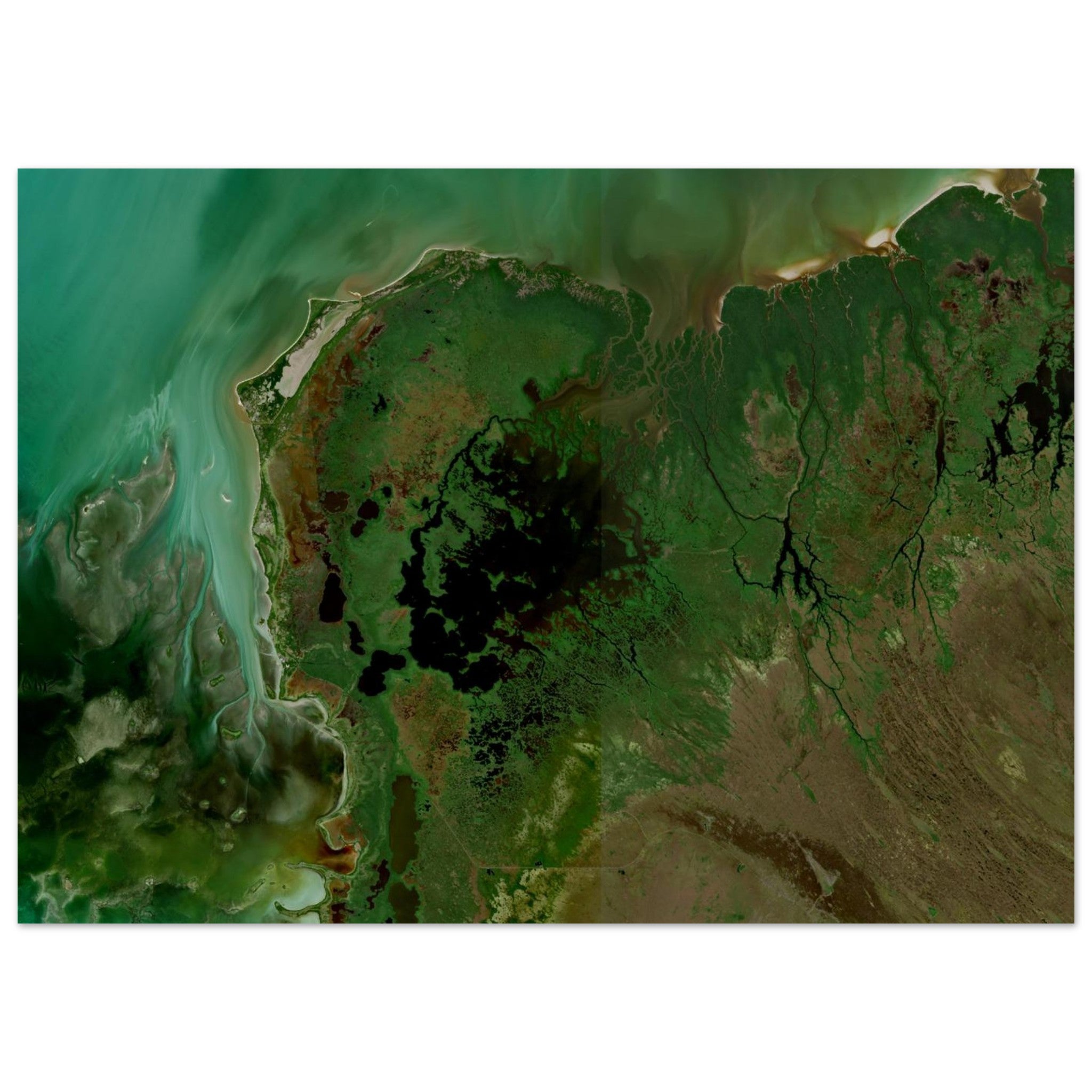Everglades National Park Natural Earth Print - Ink And Atlas