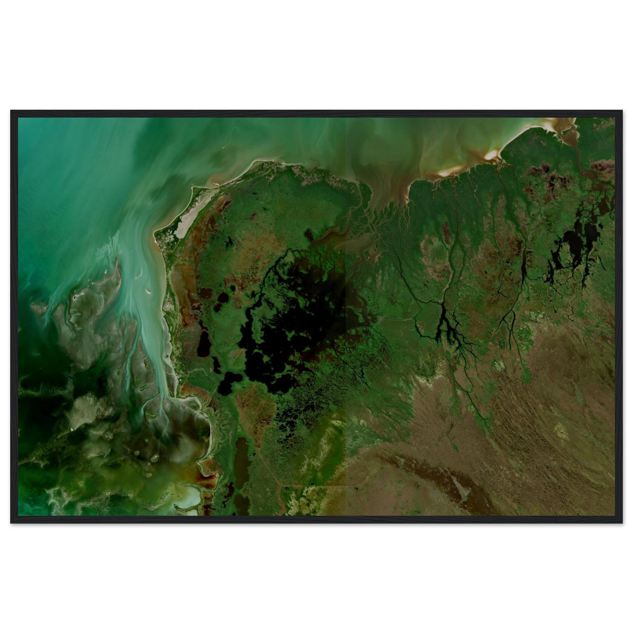 Everglades National Park Natural Earth Print - Ink And Atlas