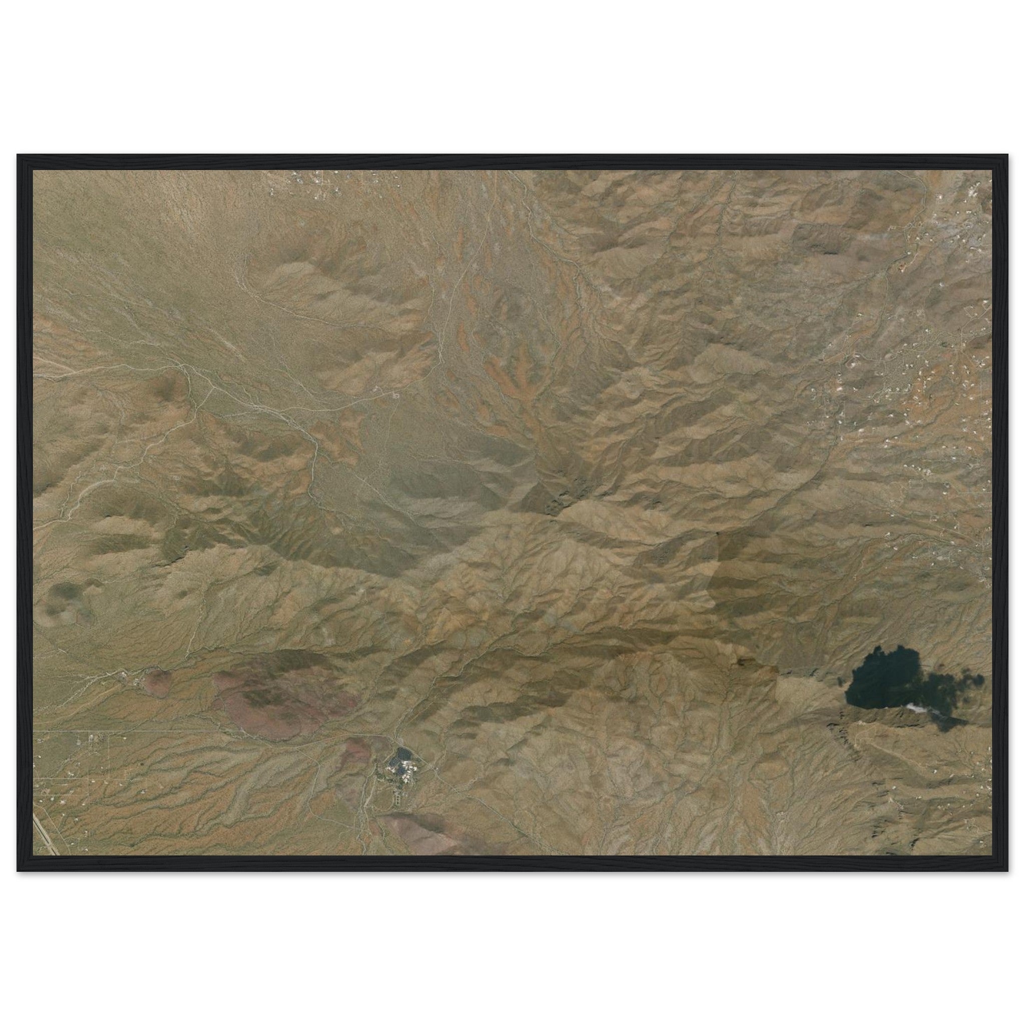 Saguaro National Park Natural Earth Print - Ink And Atlas
