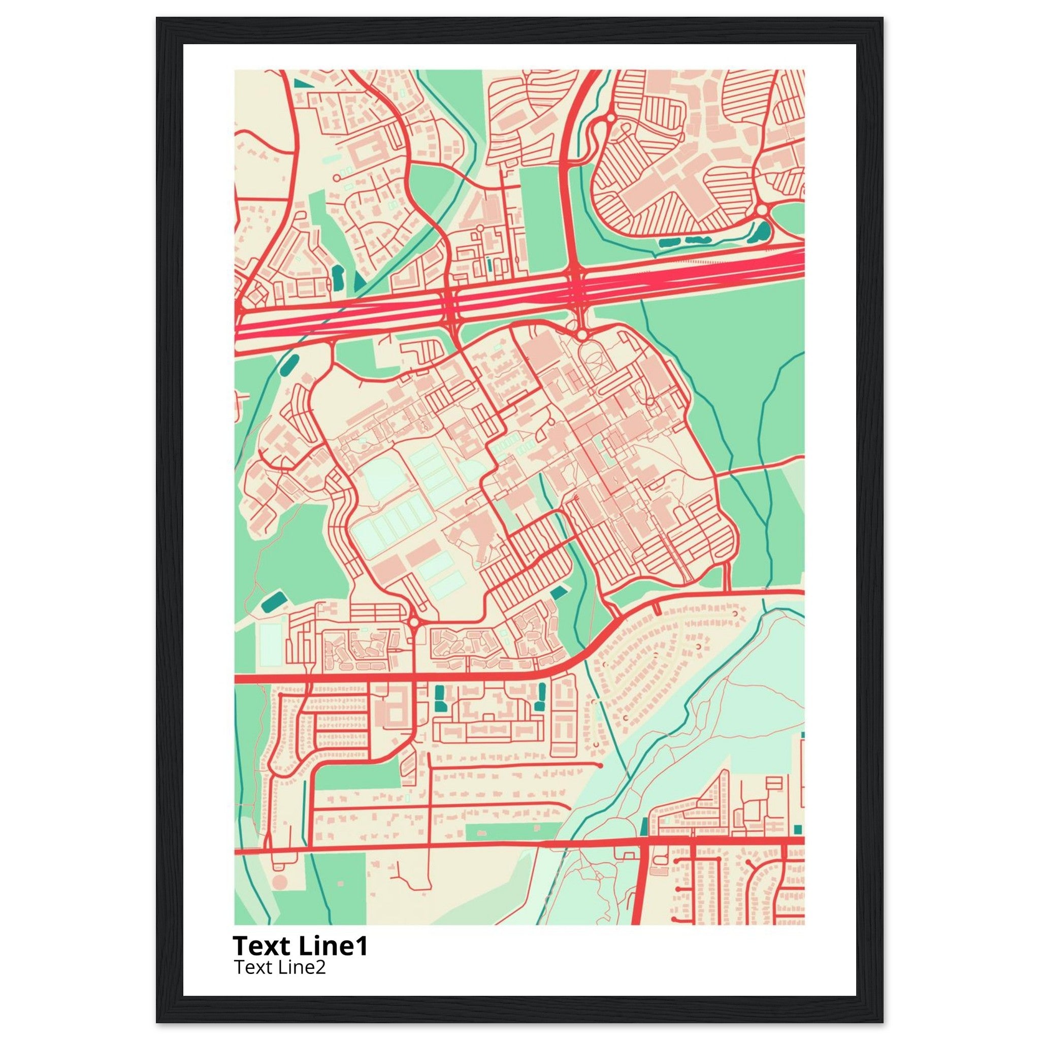 The University of Texas San Antonio Campus Map Poster | Alumni Gift - Ink And Atlas